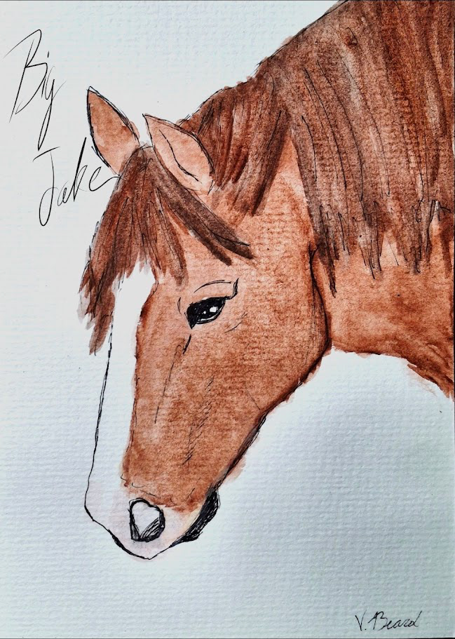 Big Jake Horse