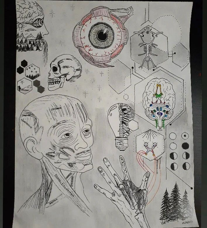 Fís Anatomy