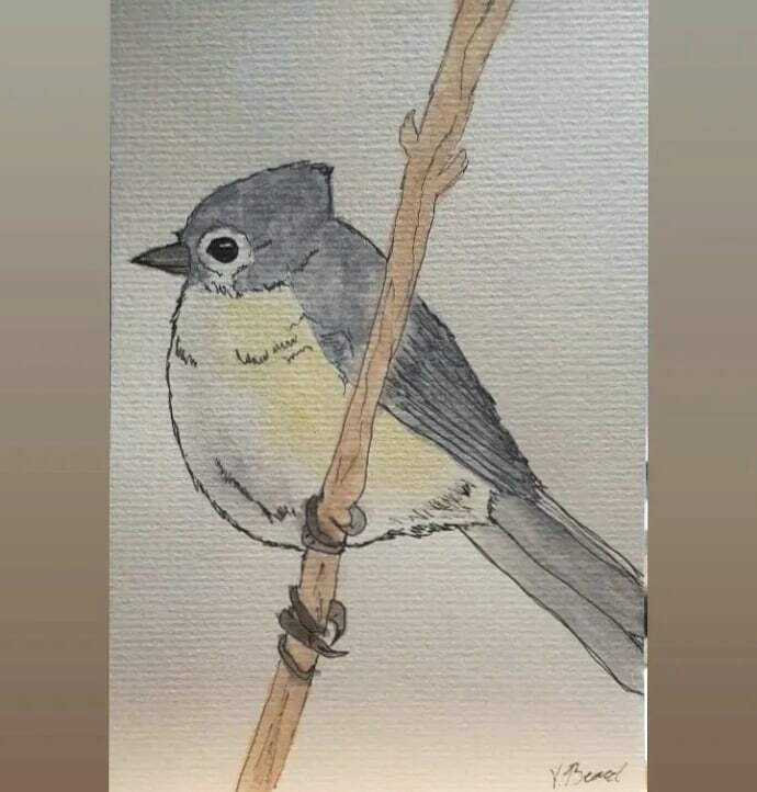 Watercolor and ink bird