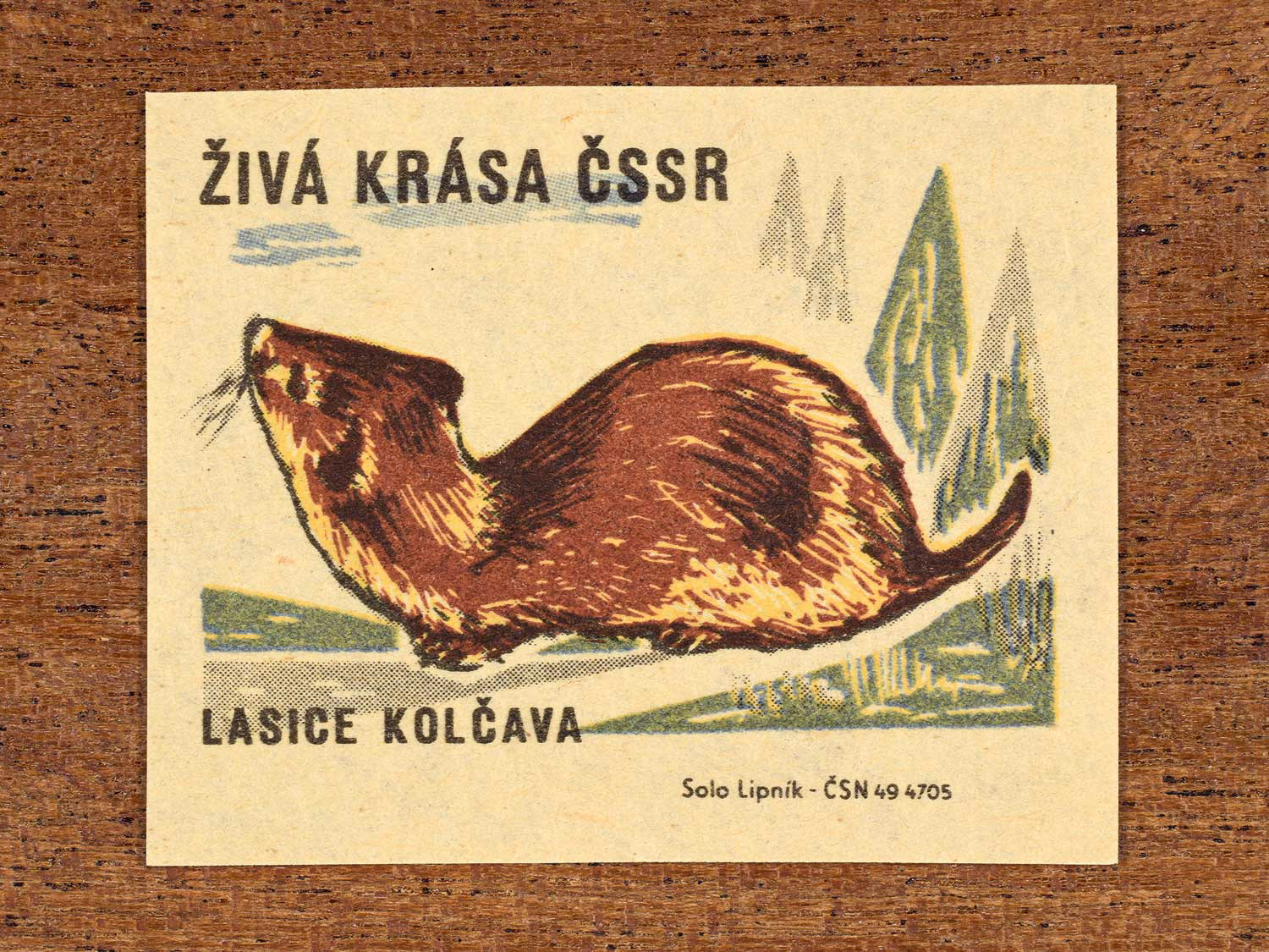 Vintage 1964 Czech matchbox label showing an illustrated stoat, in green, yellow and brown colours. Produced by the Solo Lipník match factory to promote environmental awareness and cultural pride.