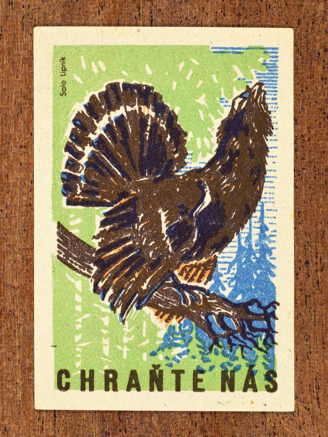 Vintage 1960 Czech matchbox label showing a capercaillie with fanned tail perched on a branch. Produced by Solo Lipník match factory to promote environmental responsibility, safeguarding vulnerable wildlife, and preserving natural habitats.