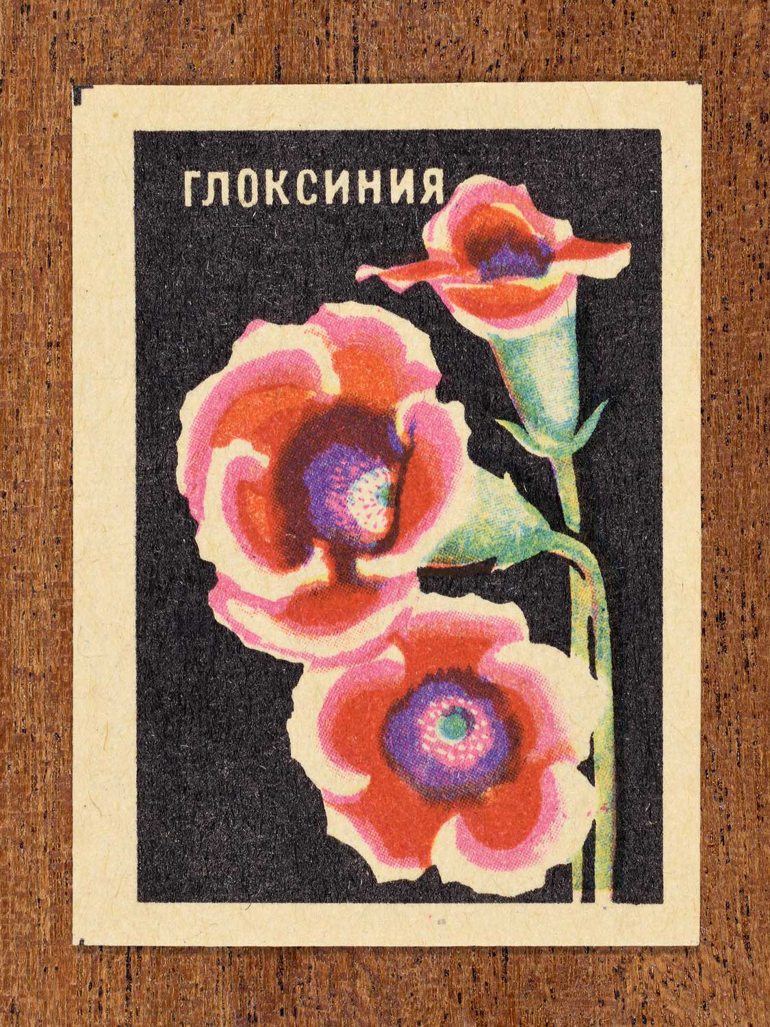 Vintage 1972 Soviet matchbox label showing gloxinia blossoms in pink and red tones on a black background. Produced by the Balabanovskaya Experimental Match Factory in Balabanovo to promote botanical knowledge.