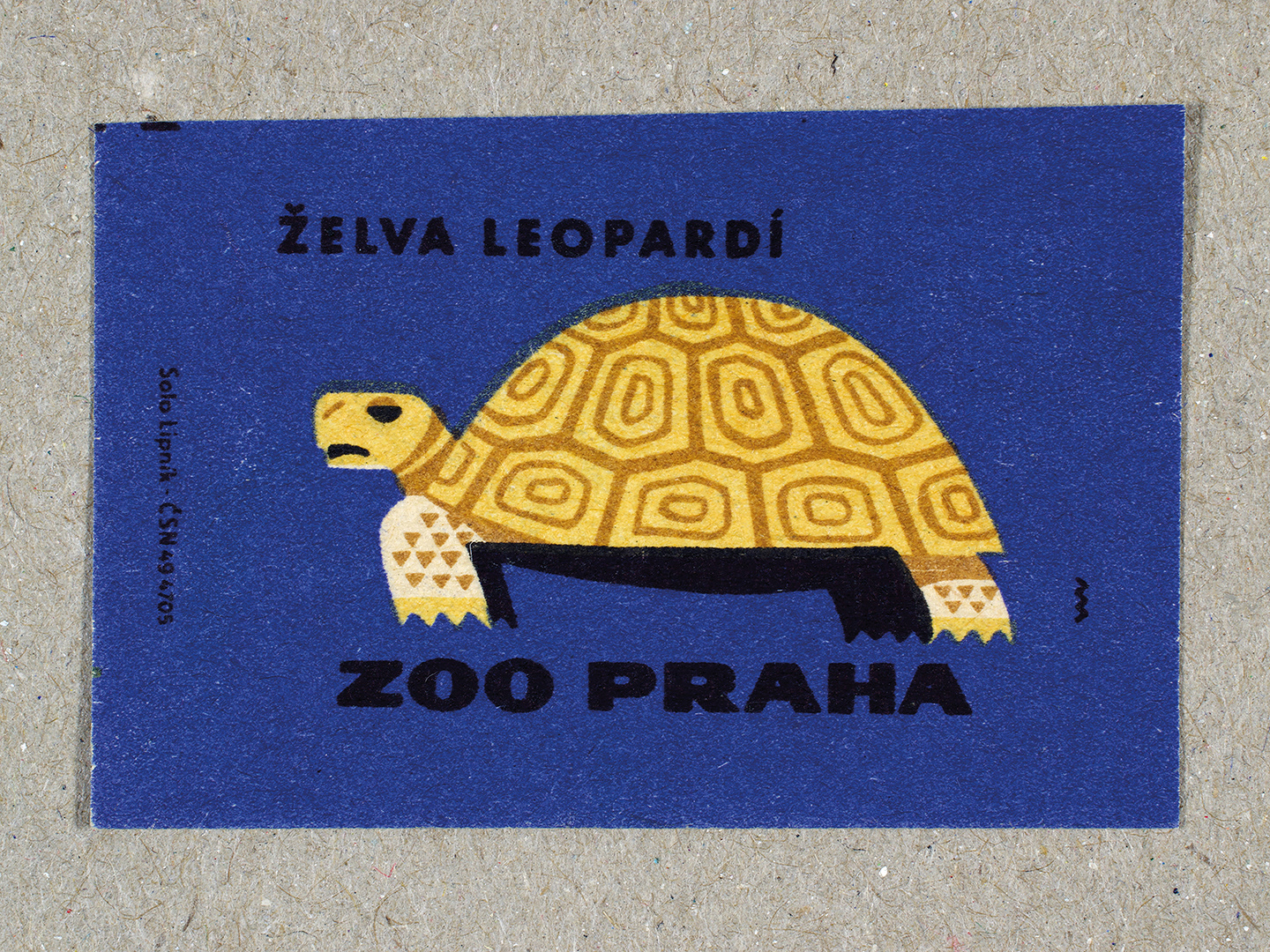 Vintage 1963 Czech matchbox label by Solo Lipník featuring a leopard tortoise on a blue background. Part of the 'Zoo Praha' series advertising Prague Zoo in Czechoslovakia.