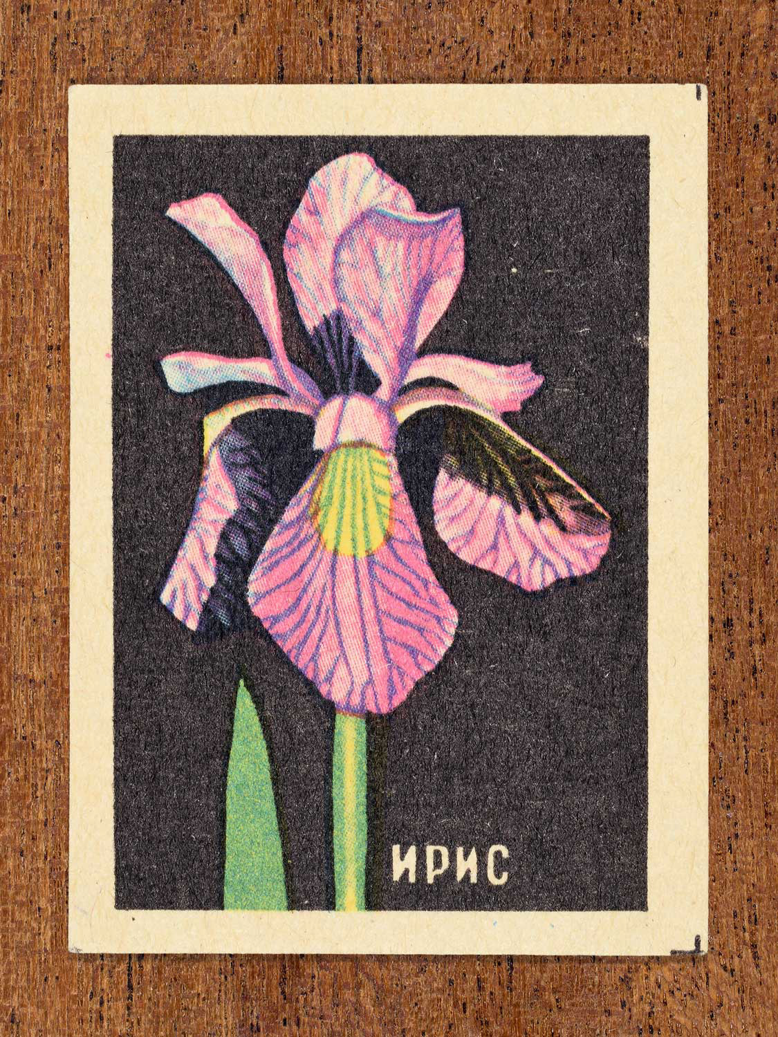 Vintage 1972 Soviet matchbox label showing an illustrated iris flower on a black background. Produced by the Balabanovskaya Experimental Match Factory in Balabanovo to promote botanical knowledge.