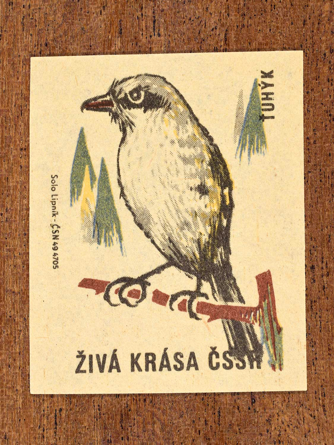 Vintage 1964 Czech matchbox label showing an illustrated shrike bird perched on a branch, in green, yellow and brown colours. Produced by the Solo Lipník match factory to promote environmental awareness and cultural pride.