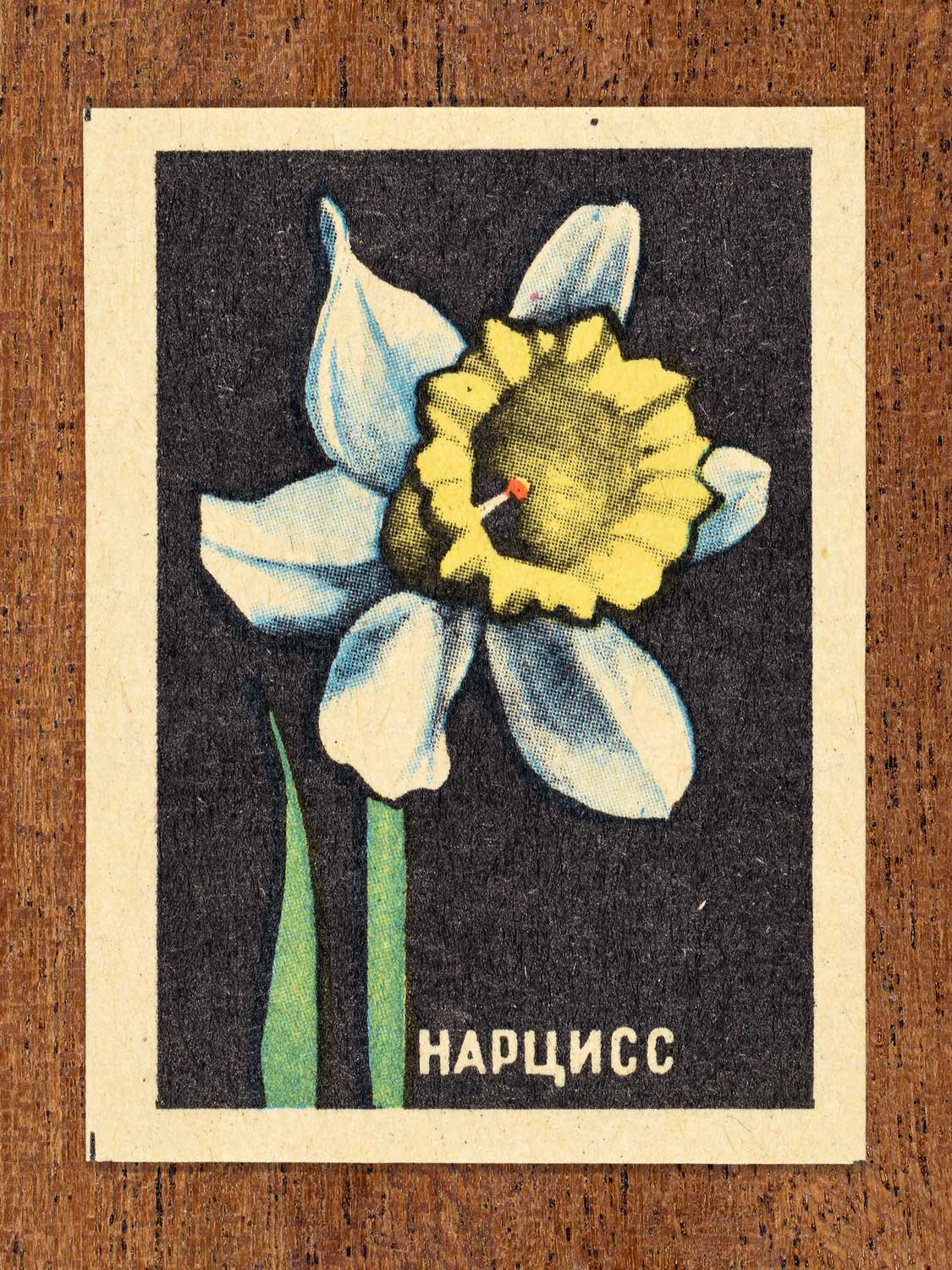 Vintage 1972 Soviet matchbox label showing a narcissus flower with yellow trumpet and white petals on a black background. Produced by the Balabanovskaya Experimental Match Factory in Balabanovo to promote botanical knowledge.
