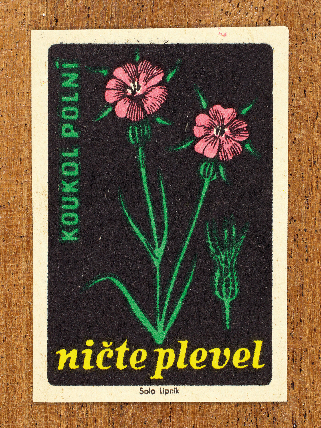 1960 botanical Czech matchbox label by Solo Lipník featuring two pink corncockle flowers on black. Part of the 'Destroy Weeds' series warning farmers about common field weeds.