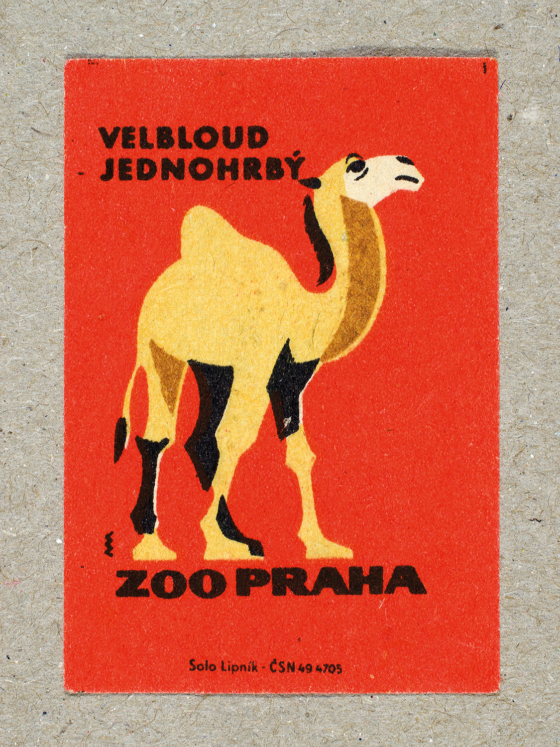 Vintage 1963 Czech matchbox label by Solo Lipník featuring a one-humped camel on a red background. Part of the 'Zoo Praha' series advertising Prague Zoo in Czechoslovakia.