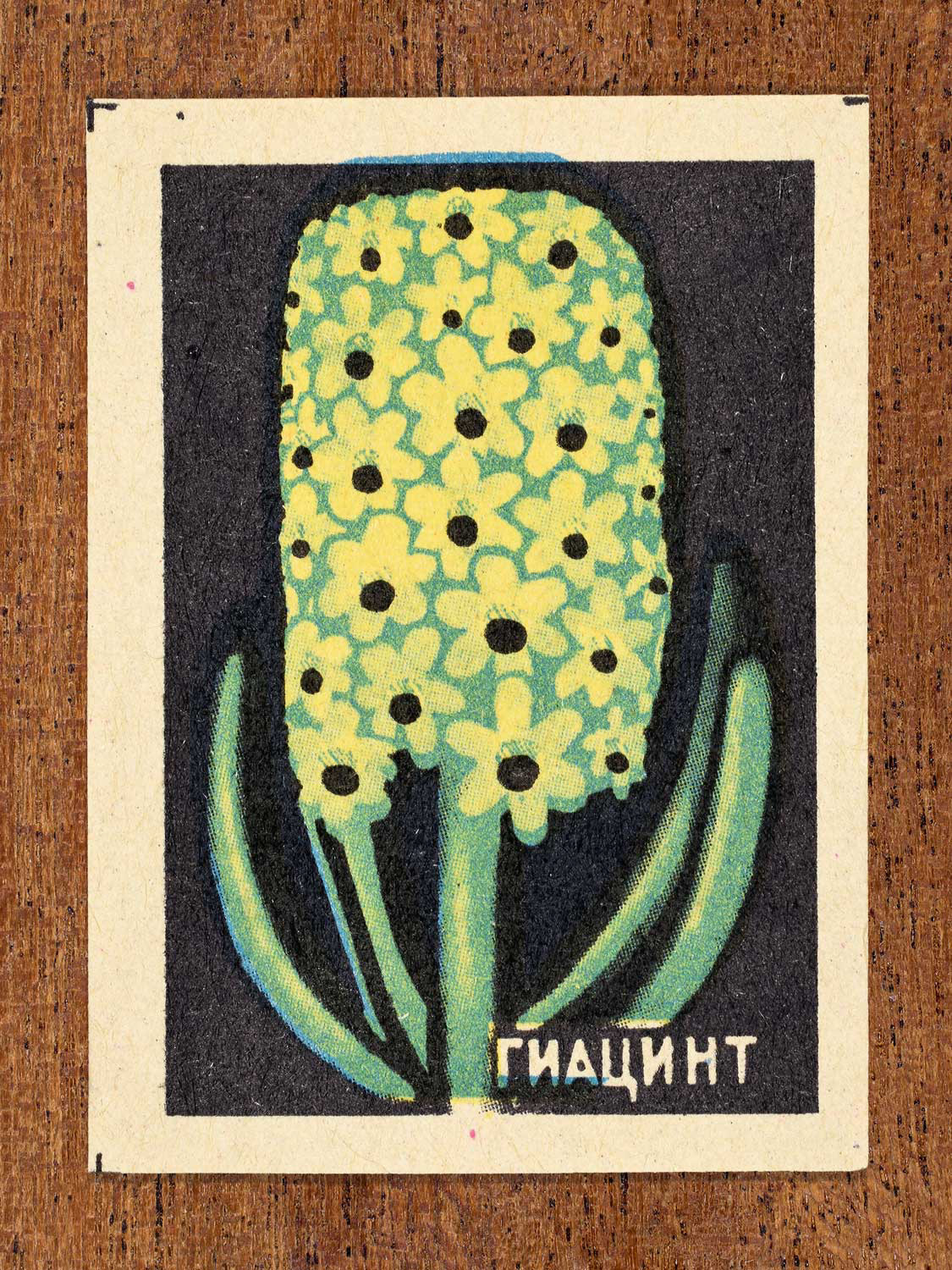 Vintage 1972 Soviet matchbox label showing a yellow hyacinth flower spike on a black background. Produced by the Balabanovskaya Experimental Match Factory in Balabanovo to promote botanical knowledge.