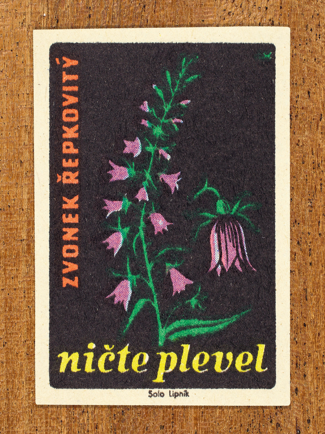 1960 botanical Czech matchbox label by Solo Lipník featuring a purple bellflower and green leaves. Part of the 'Destroy Weeds' series warning farmers about common field weeds.