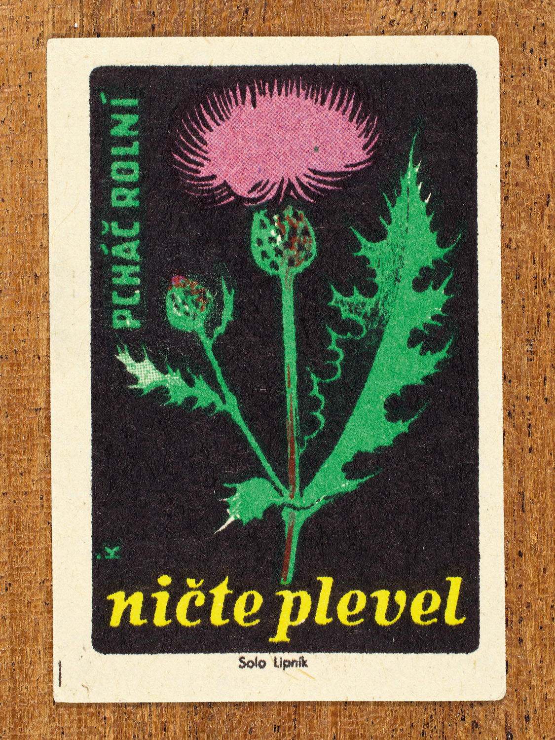 1960 botanical Czech matchbox label by Solo Lipník featuring a bright purple thistle. Part of the 'Destroy Weeds' series warning farmers about common field weeds.