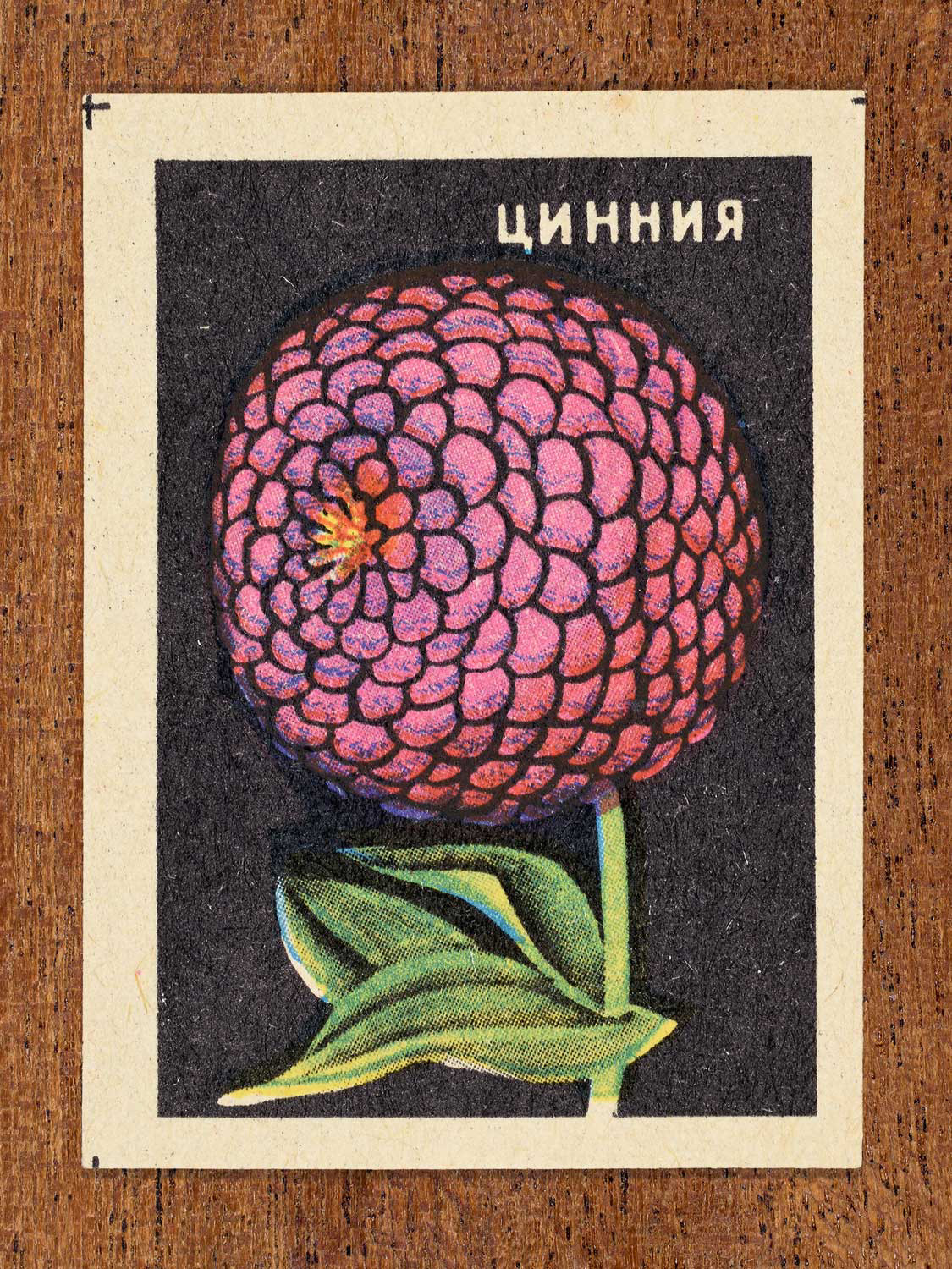 Vintage 1972 Soviet matchbox label showing a pink zinnia flower with layered petals on a black background. Produced by the Balabanovskaya Experimental Match Factory in Balabanovo to promote botanical knowledge.