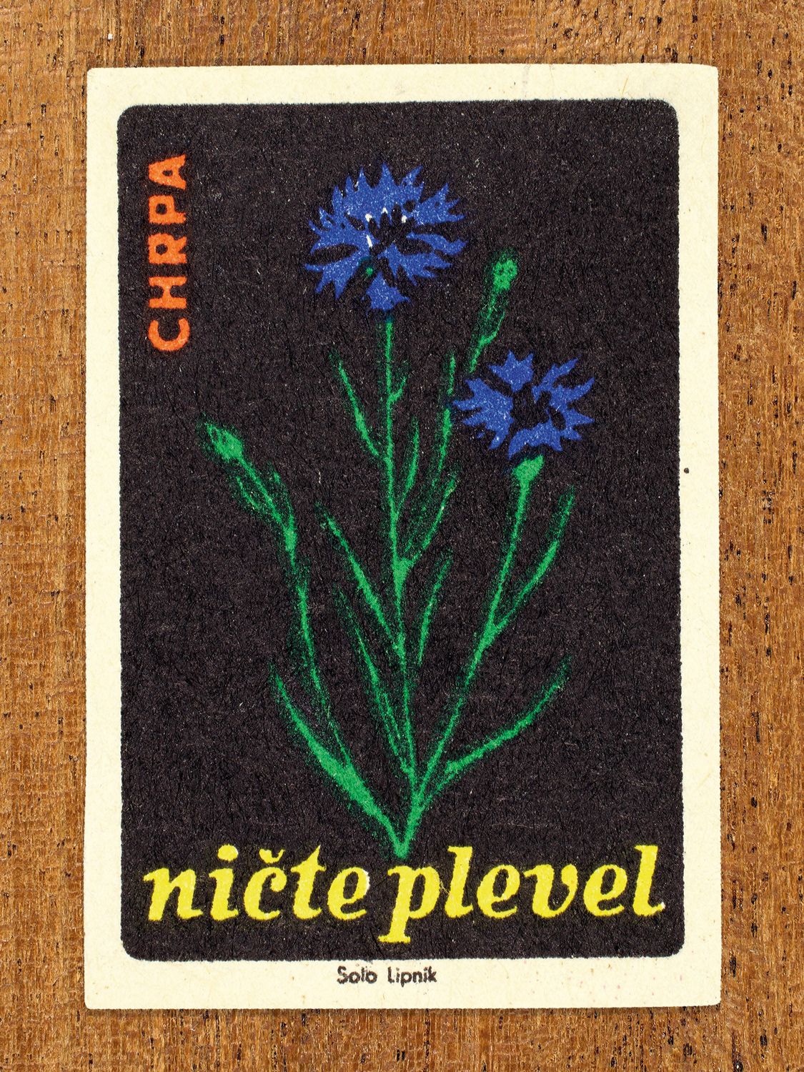 1960 botanical Czech matchbox label by Solo Lipník featuring blue cornflower on black. Part of the 'Destroy Weeds' series warning farmers about common field weeds.