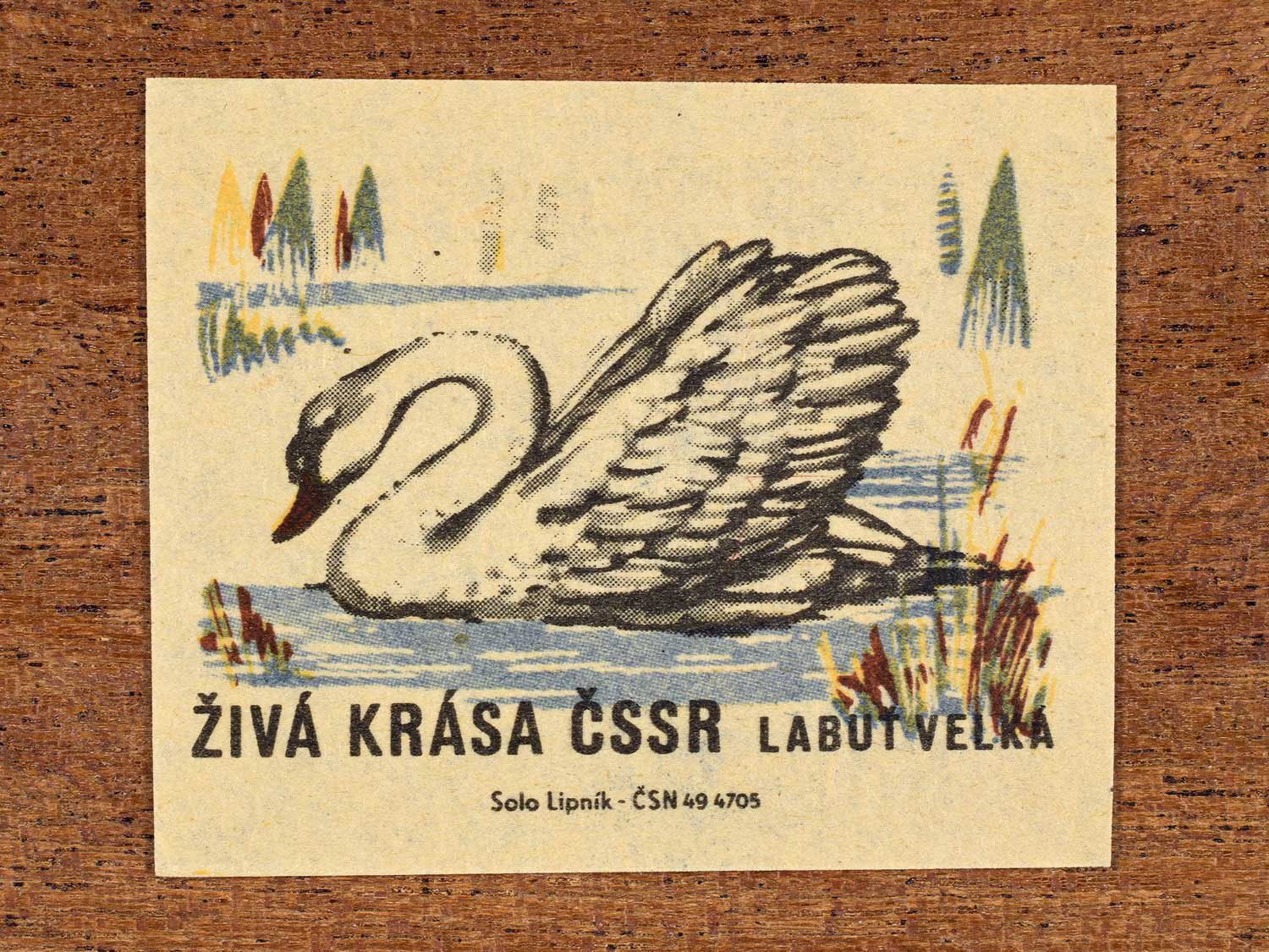 Vintage 1964 Czech matchbox label showing an illustrated swan gliding on water, in green, yellow, blue and brown colours. Produced by the Solo Lipník match factory to promote environmental awareness and cultural pride.