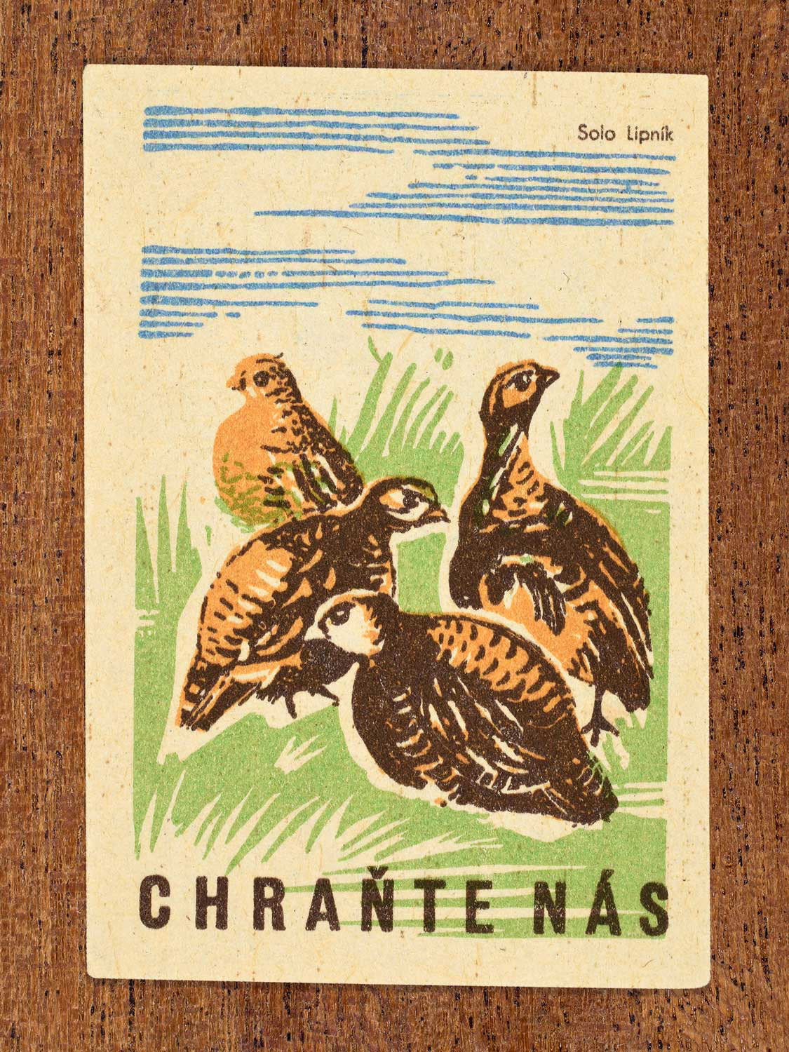 Vintage 1960 Czech matchbox label showing a group of partridges huddled in grass. Produced by Solo Lipník match factory to promote environmental responsibility, safeguarding vulnerable wildlife, and preserving natural habitats.