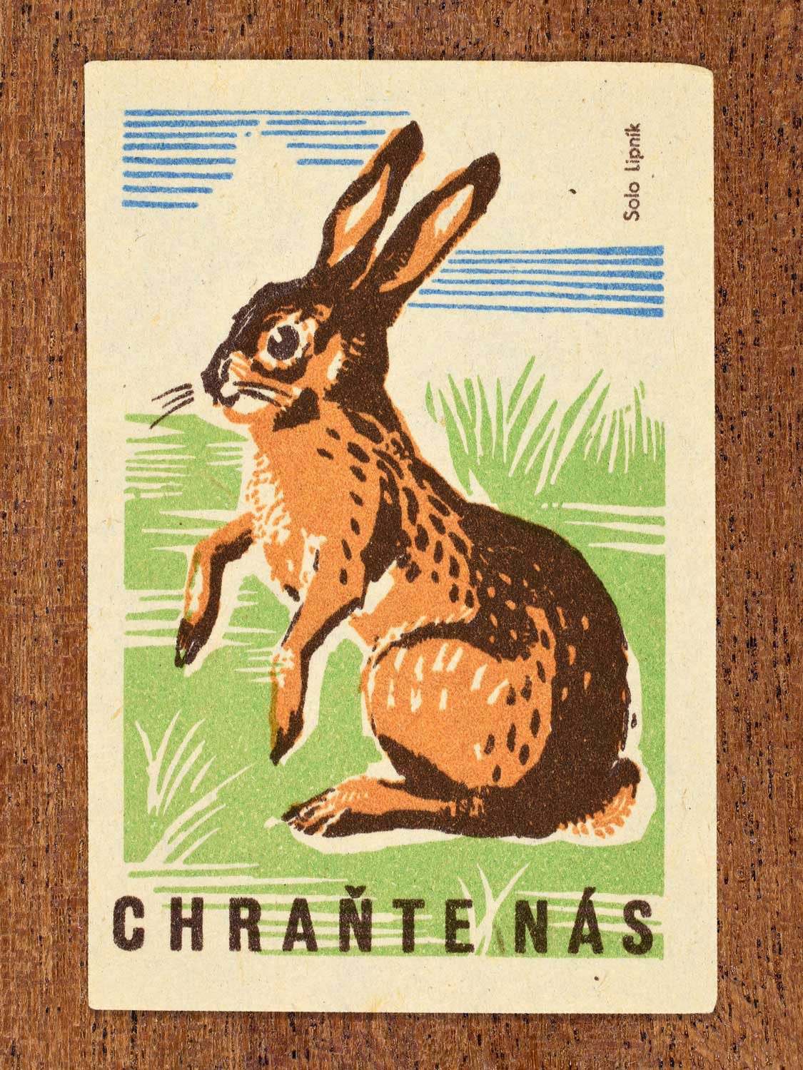 Vintage 1960 Czech matchbox label showing an illustrated hare sitting upright in grass. Produced by Solo Lipník match factory to promote environmental responsibility, safeguarding vulnerable wildlife, and preserving natural habitats.