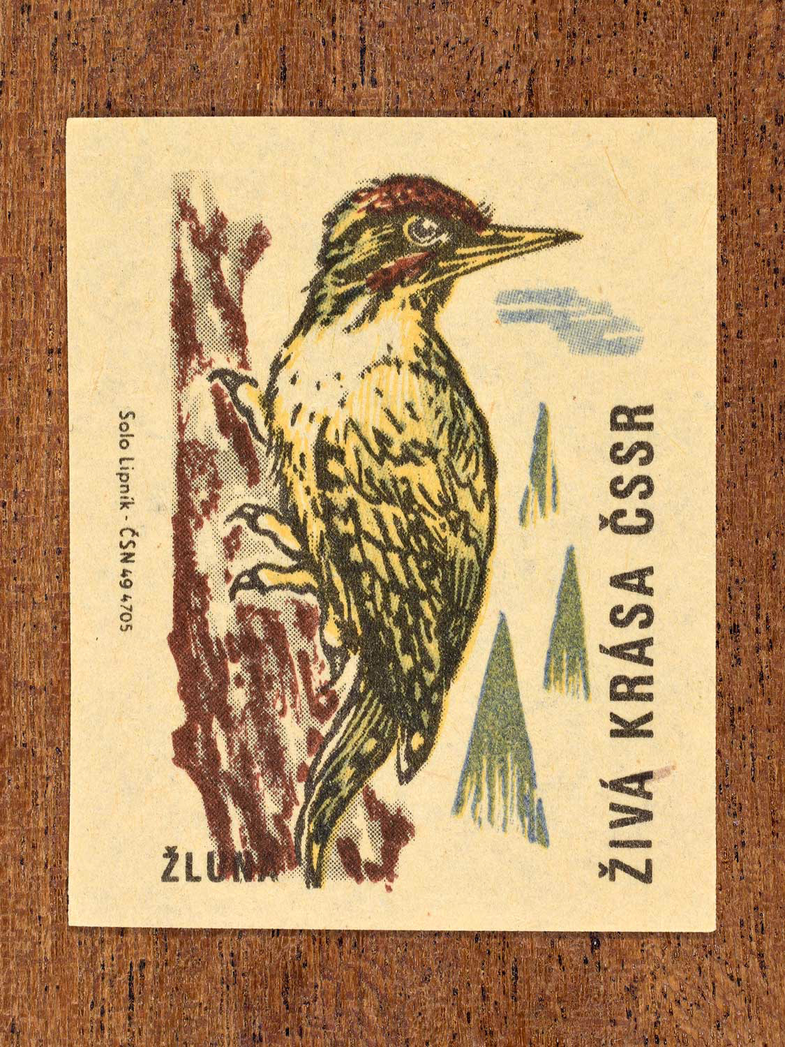 Vintage 1964 Czech matchbox label showing an illustrated green woodpecker gripping a tree trunk, in green, yellow and brown colours. Produced by the Solo Lipník match factory to promote environmental awareness and cultural pride.