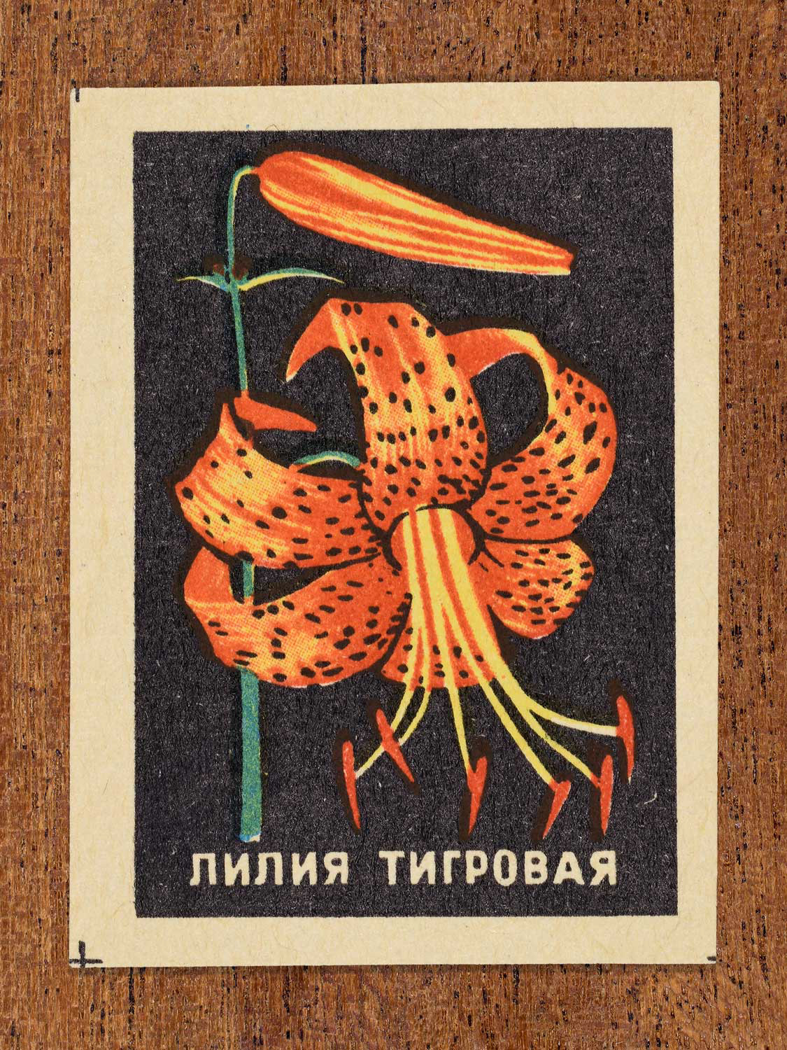 Vintage 1972 Soviet matchbox label showing an orange tiger lily with spotted petals on a black background. Produced by the Balabanovskaya Experimental Match Factory in Balabanovo to promote botanical knowledge.