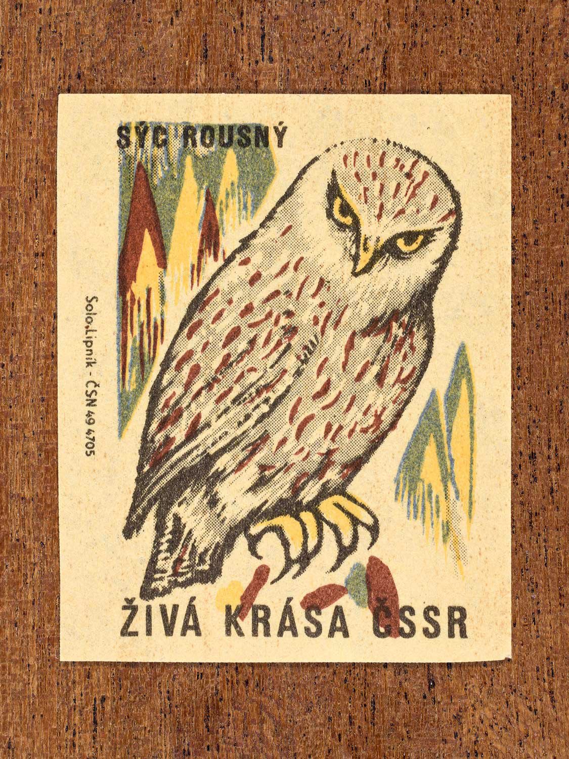 Vintage 1964 Czech matchbox label showing an illustrated boreal owl, in green, yellow and brown colours. Produced by the Solo Lipník match factory to promote environmental awareness and cultural pride.
