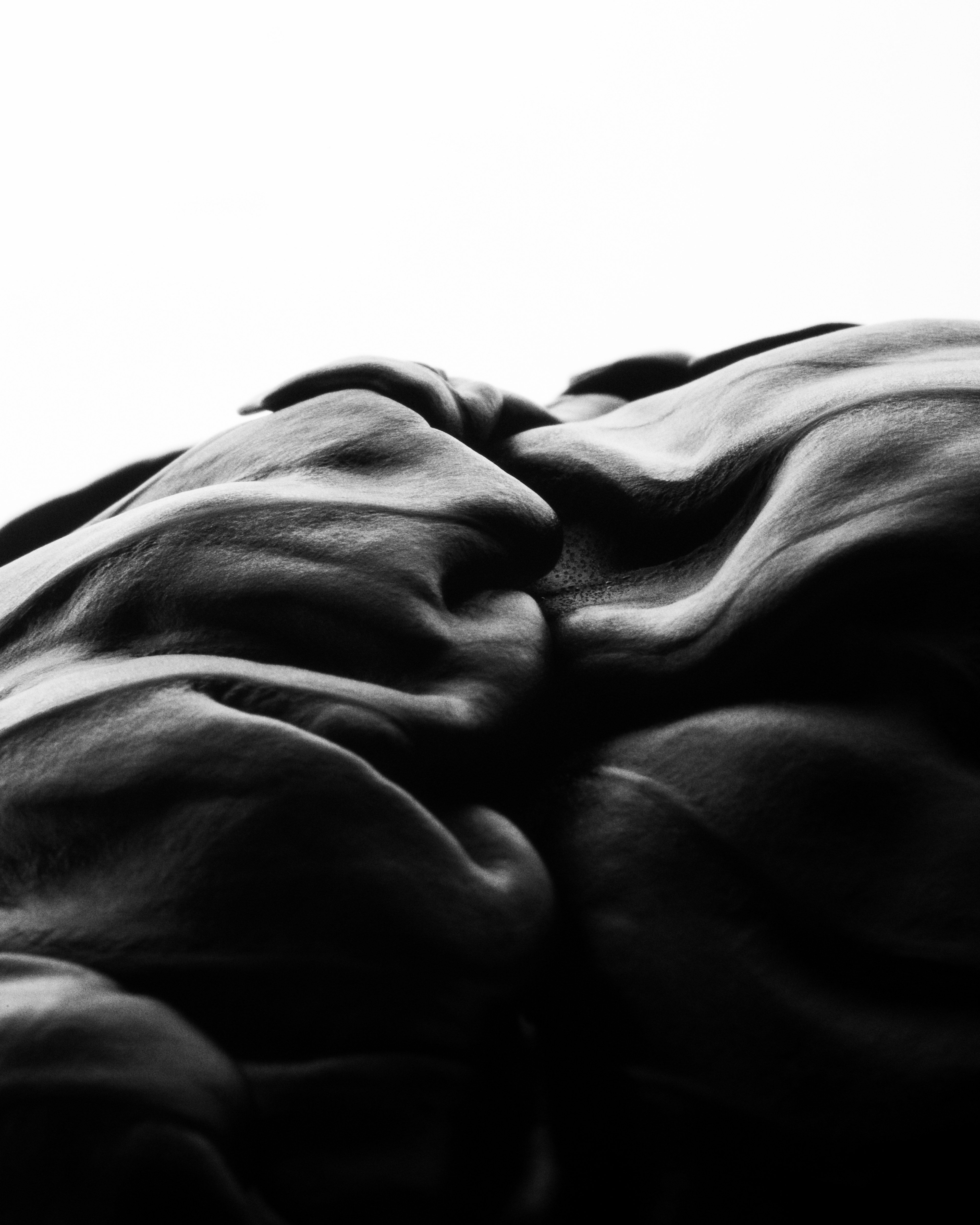 valokuvaaja paula kesäläinen helsinki studiokuvaaja macro