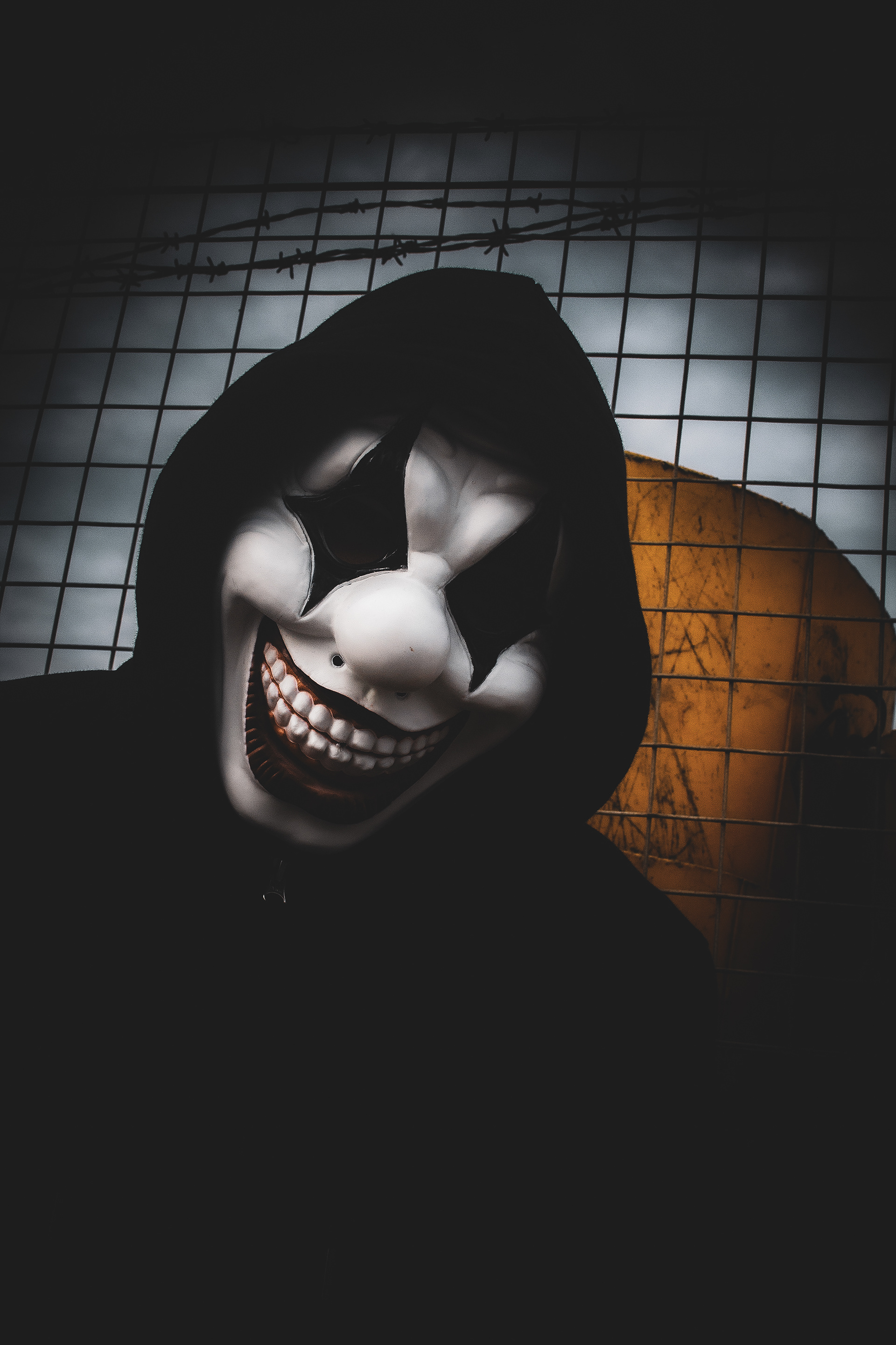 Mr. Giggles - 01/11/2024.