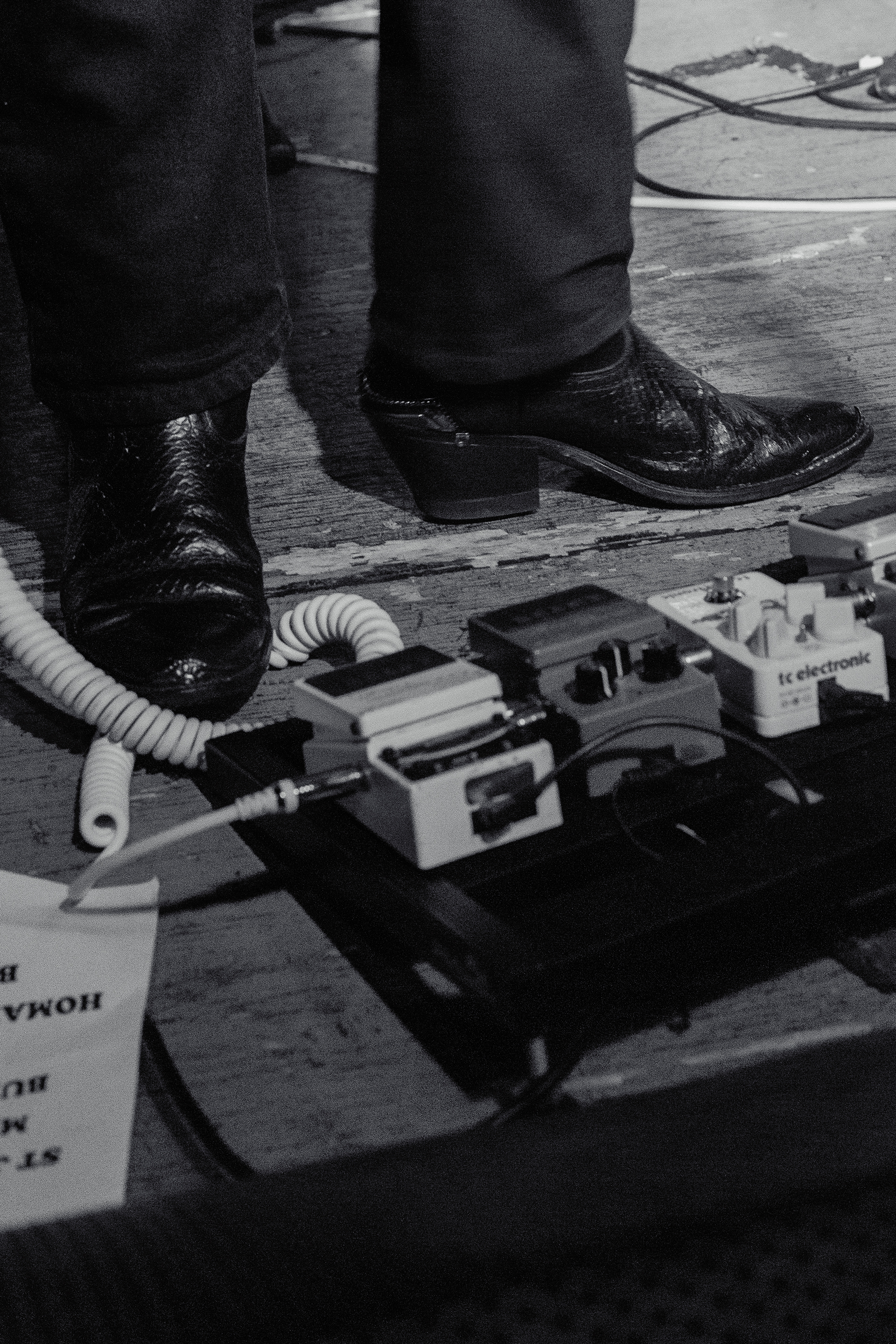 Snakemilk - Voodoo Daddy's Showroom - 17/01/2025.