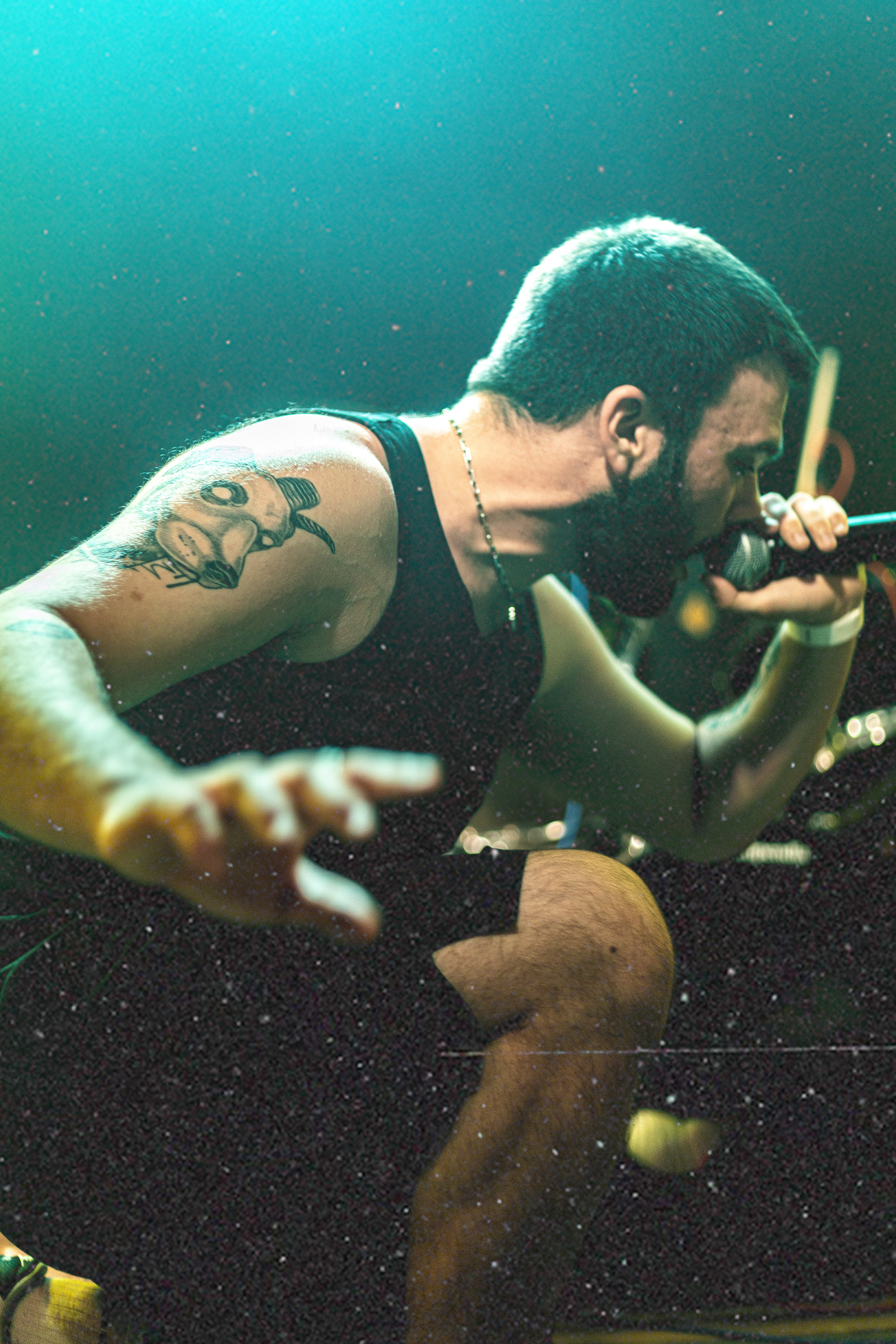 Fleas - Voodoo Daddy's Showroom - 20/06/2025.