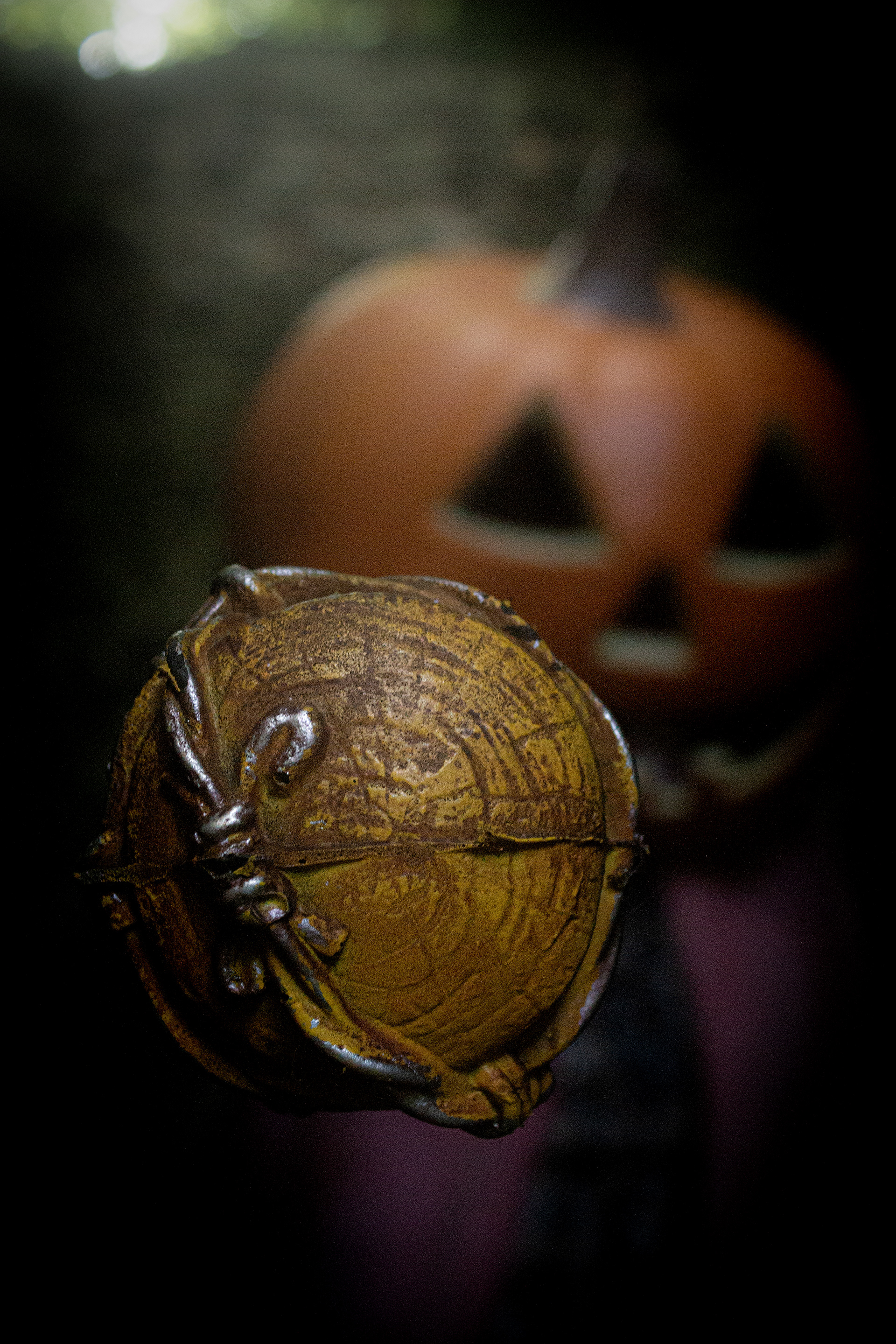 Killer Pumpkin - 28/09/2024.
