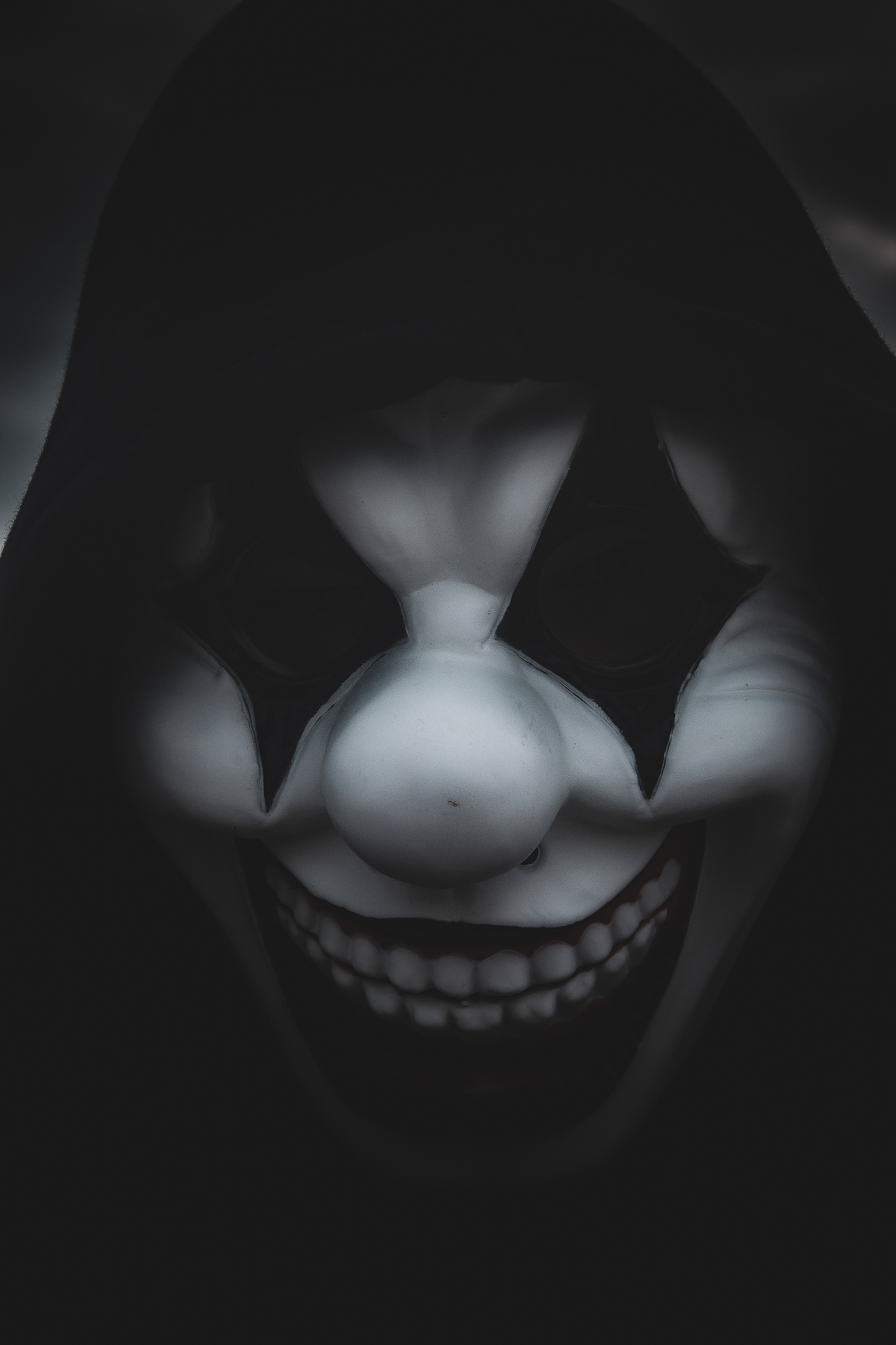 Mr. Giggles - 01/11/2024.