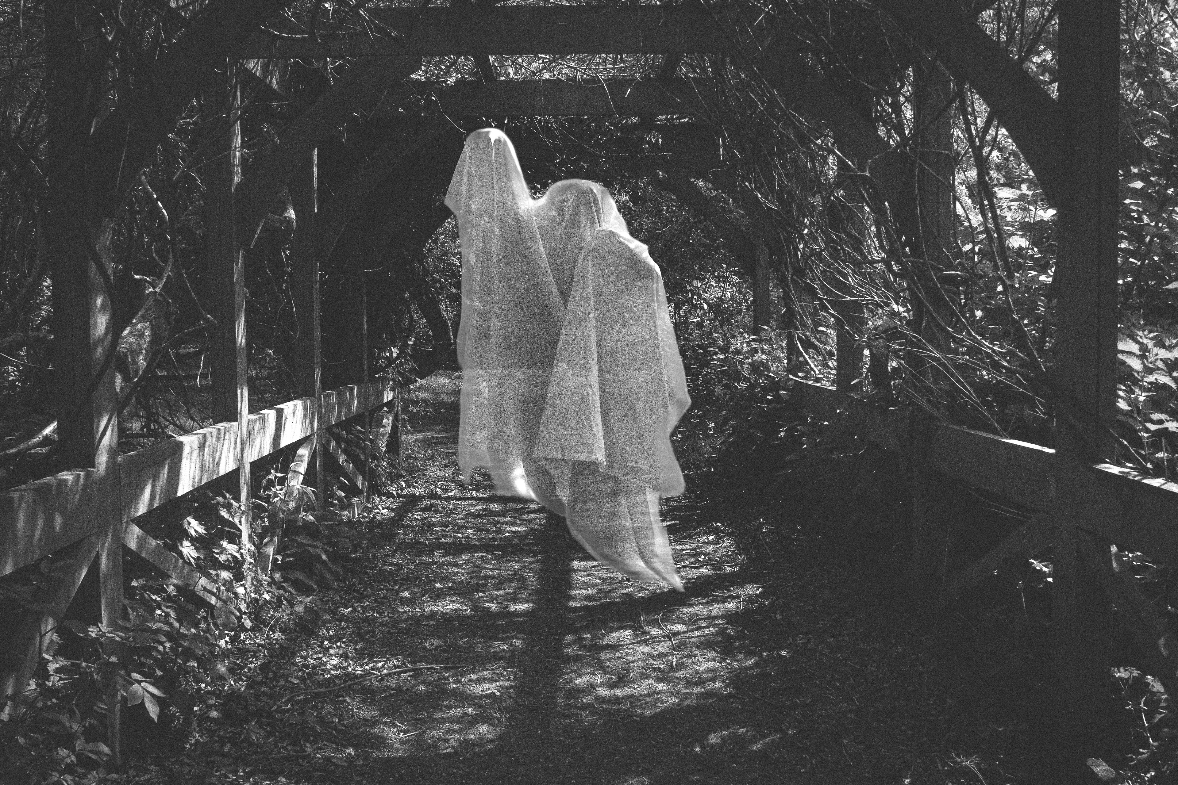 Ghostly Adventures - 18/05/2024.