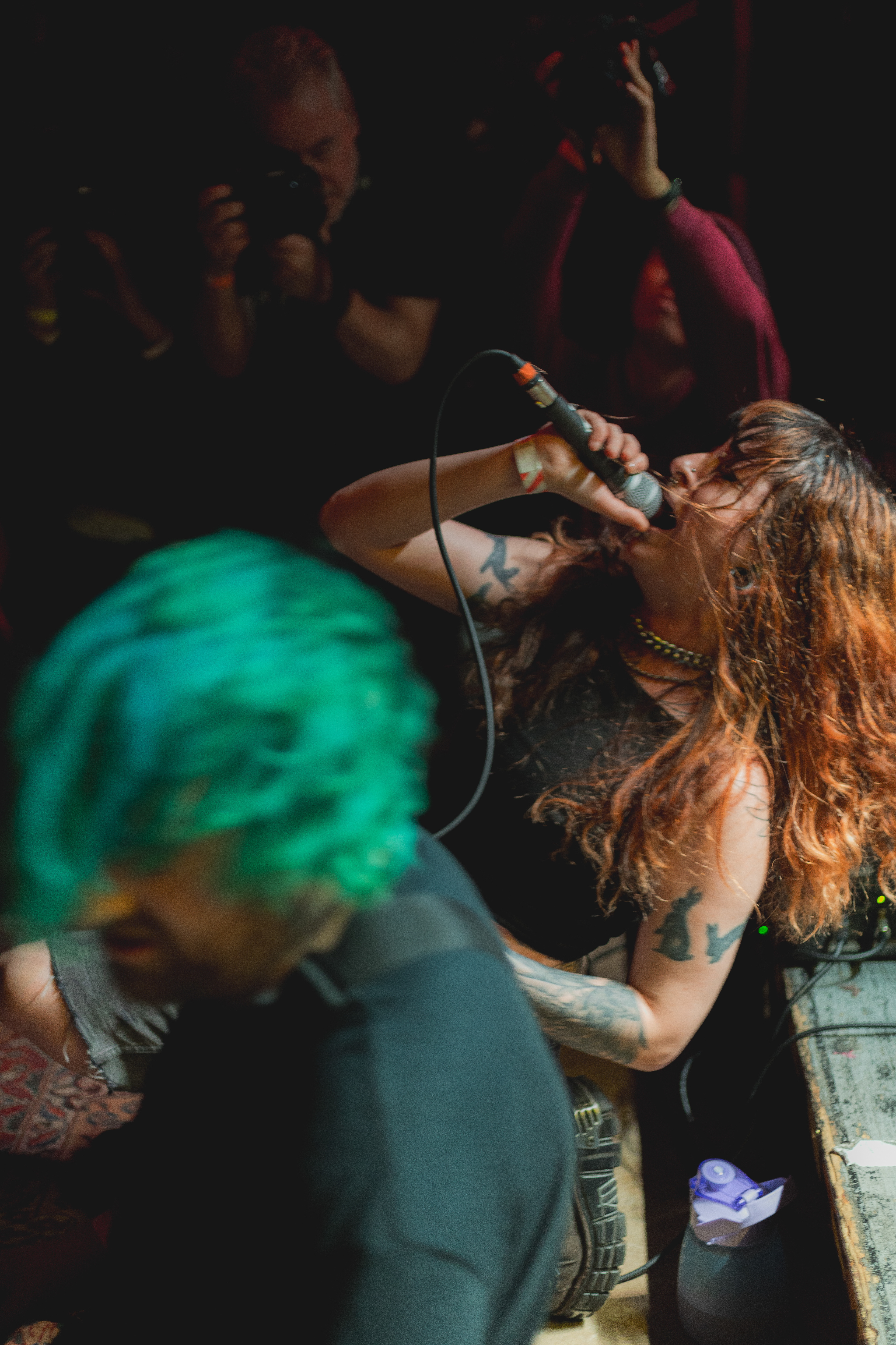 Birdwitch - Voodoo Daddy's Showroom - 18/01/2025.