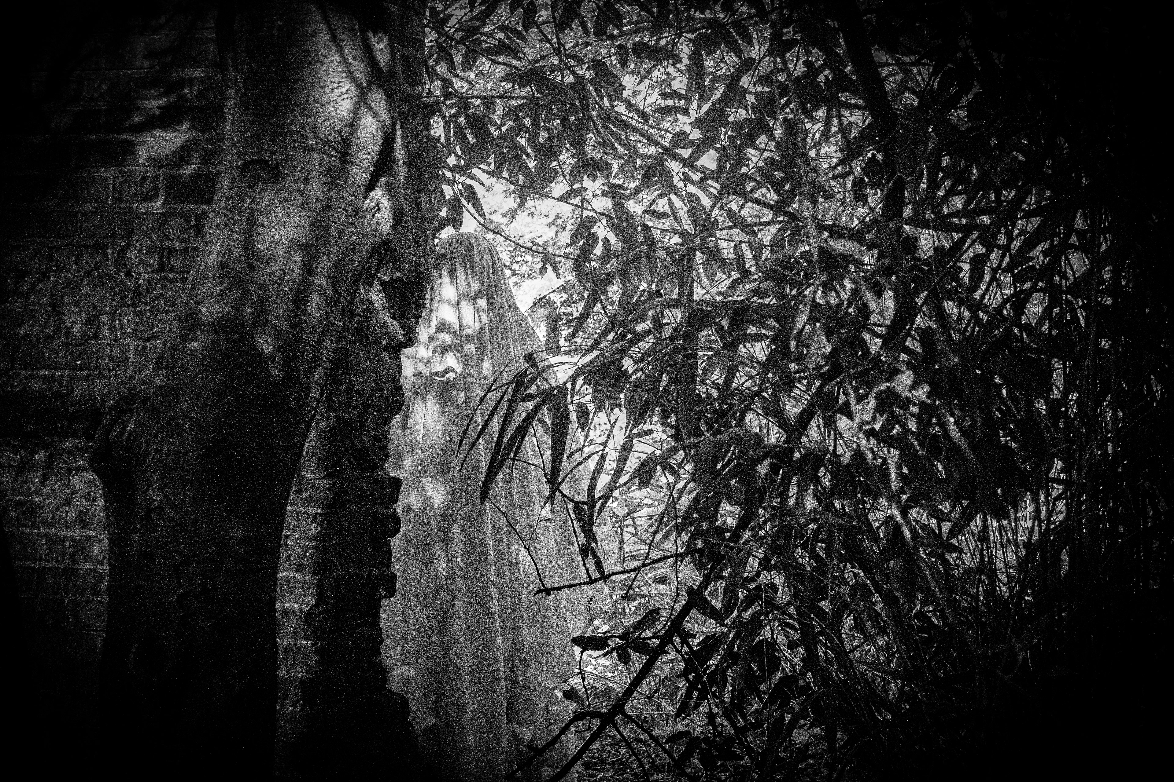 Ghostly Adventures - 18/05/2024.