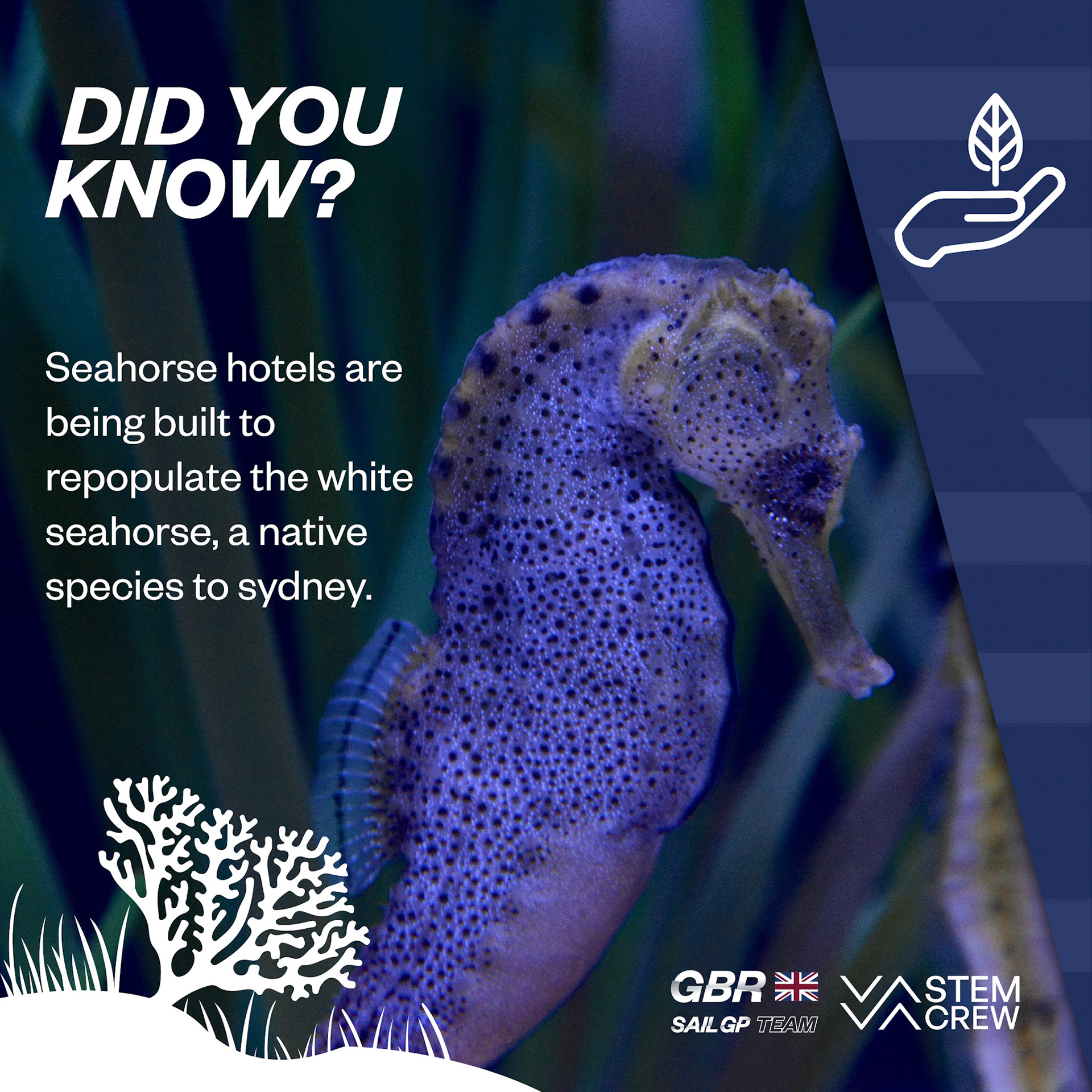 SAILGP_PARLEY [Recovered]