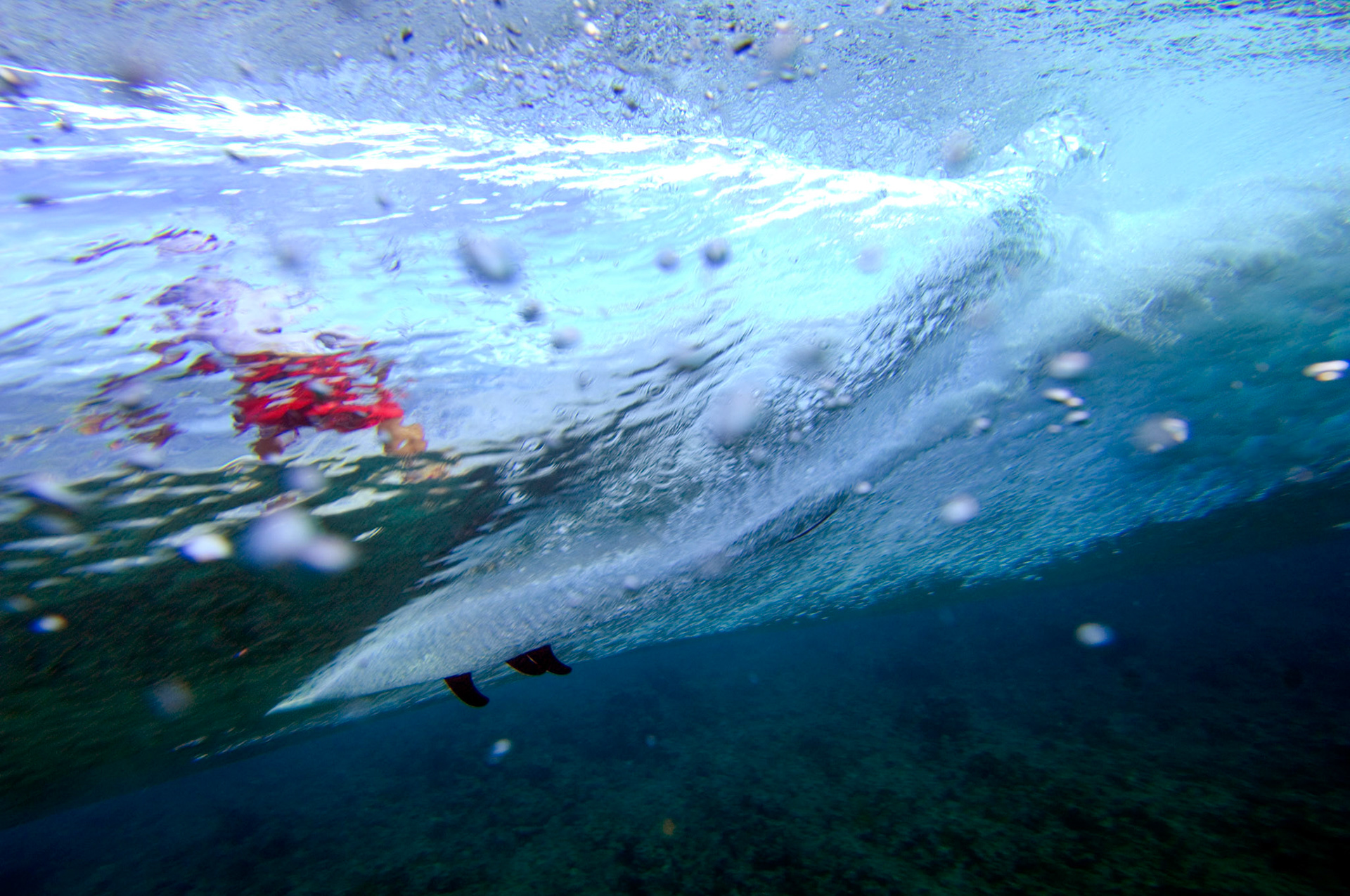 surfing, a fish view