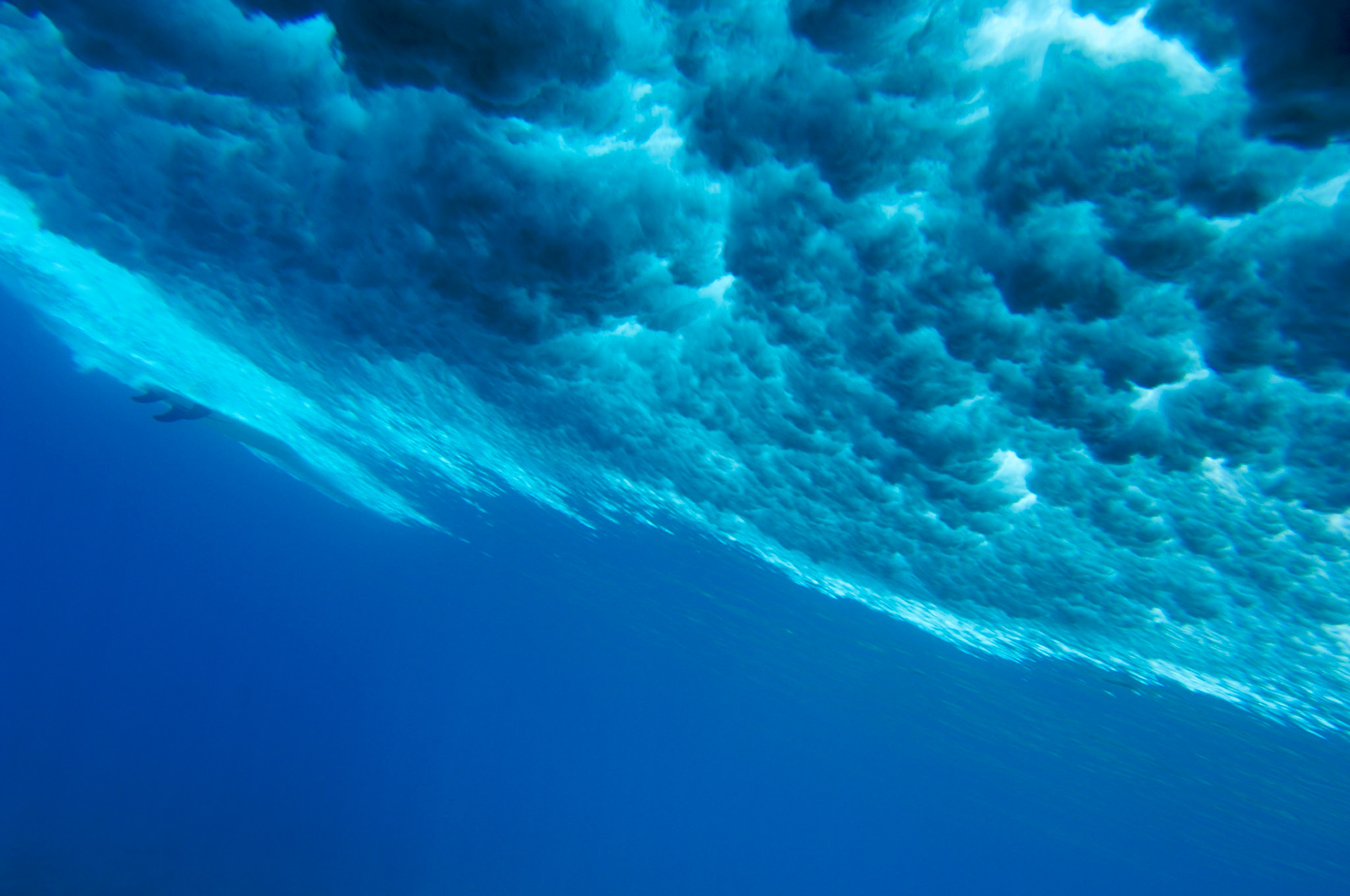 flying fins