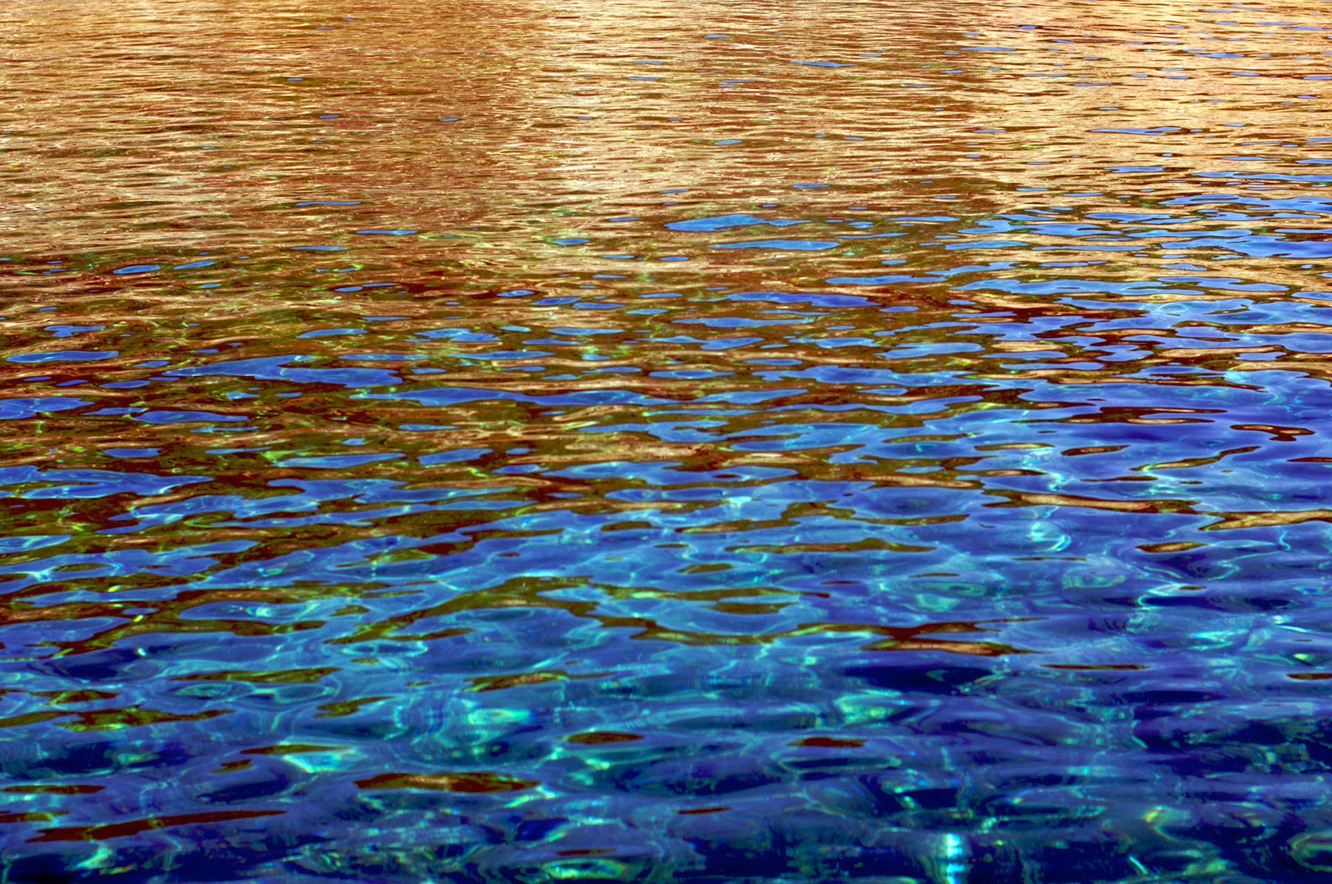 cercatore d'oro