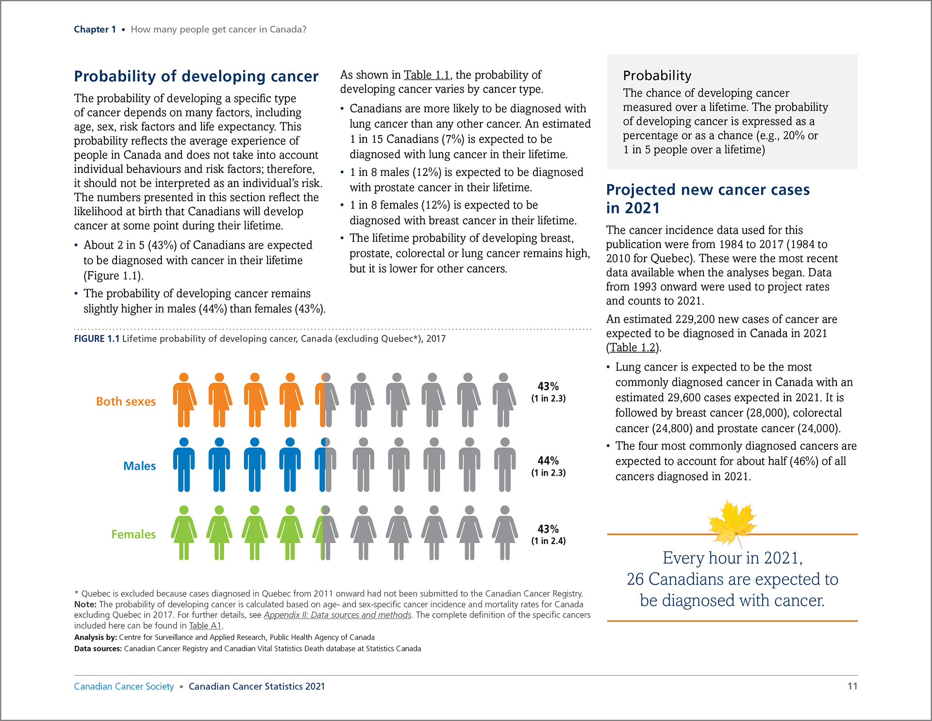 Canadian Cancer Statistics 2021 interior