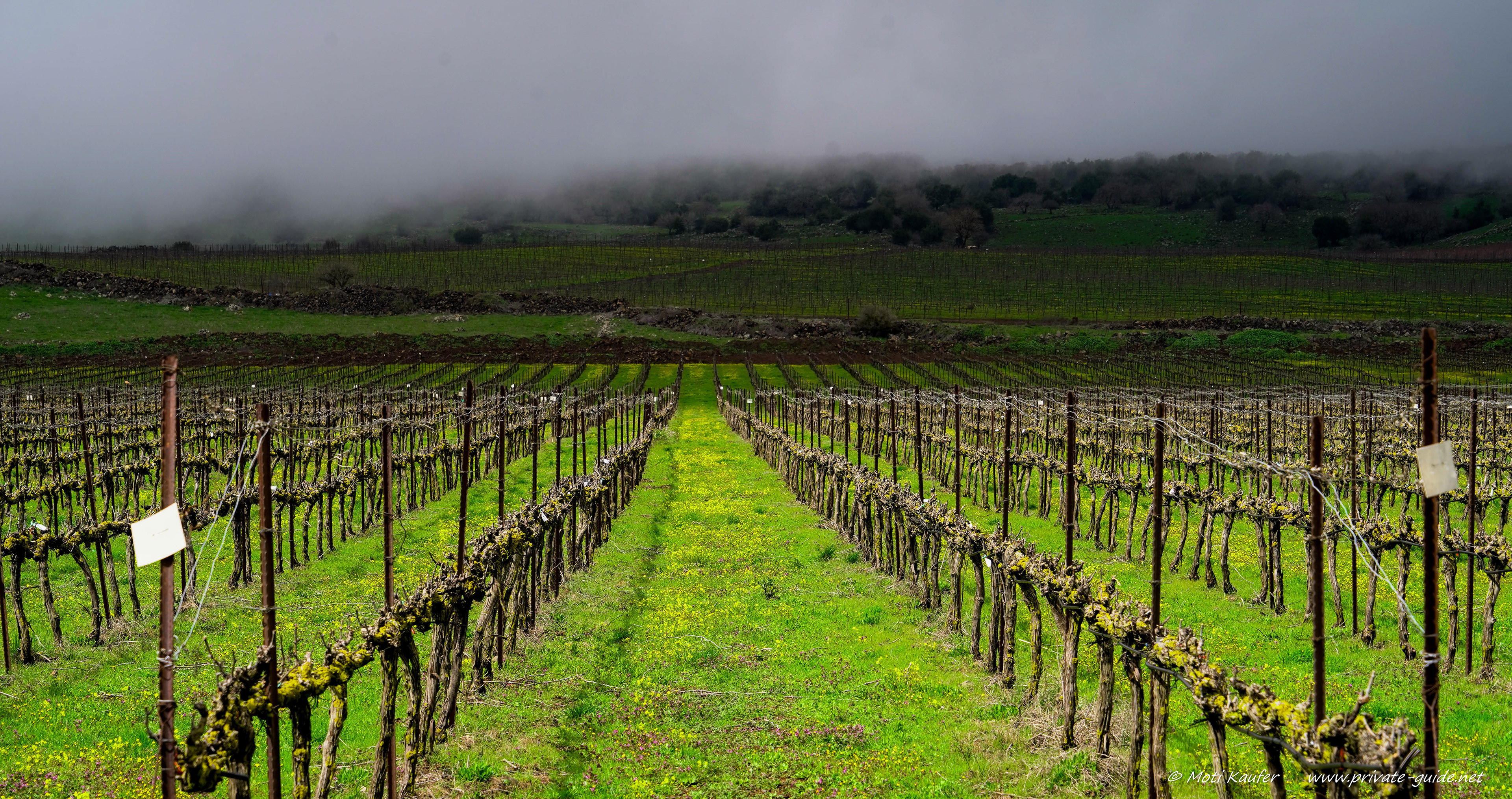 The Golan Heights, Volcanic soil