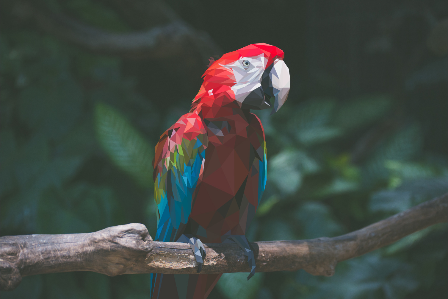 Geometric Parrot