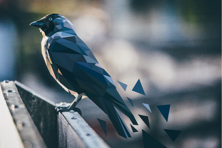 Geometric Blackbird