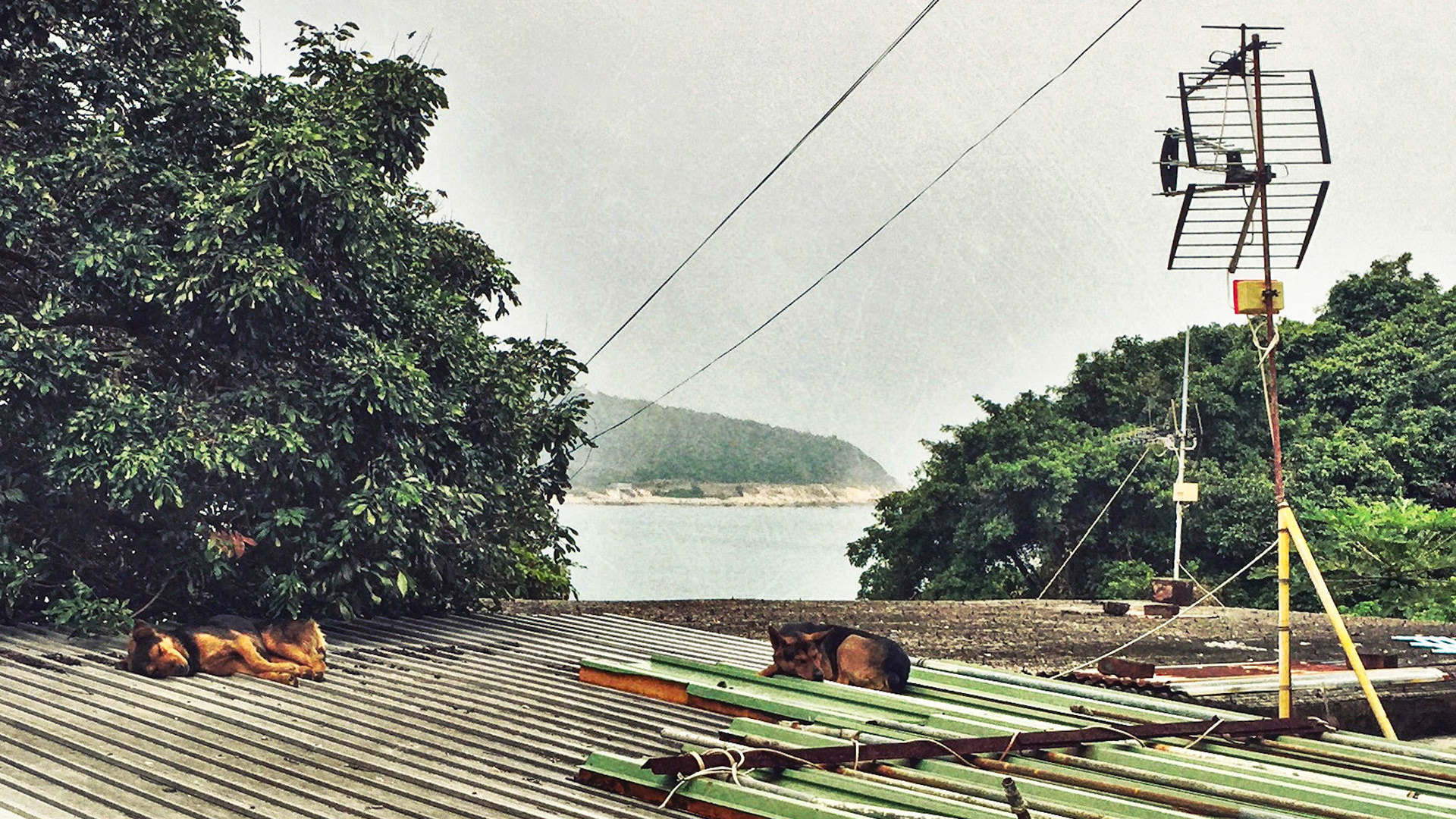 Processed with Rookie