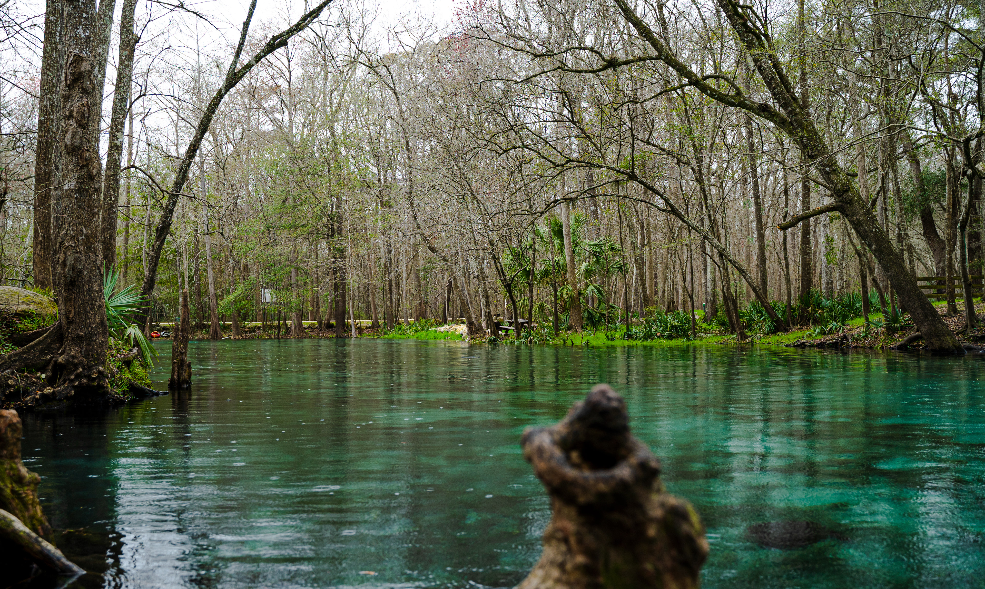 Ginnie Springs - Florida