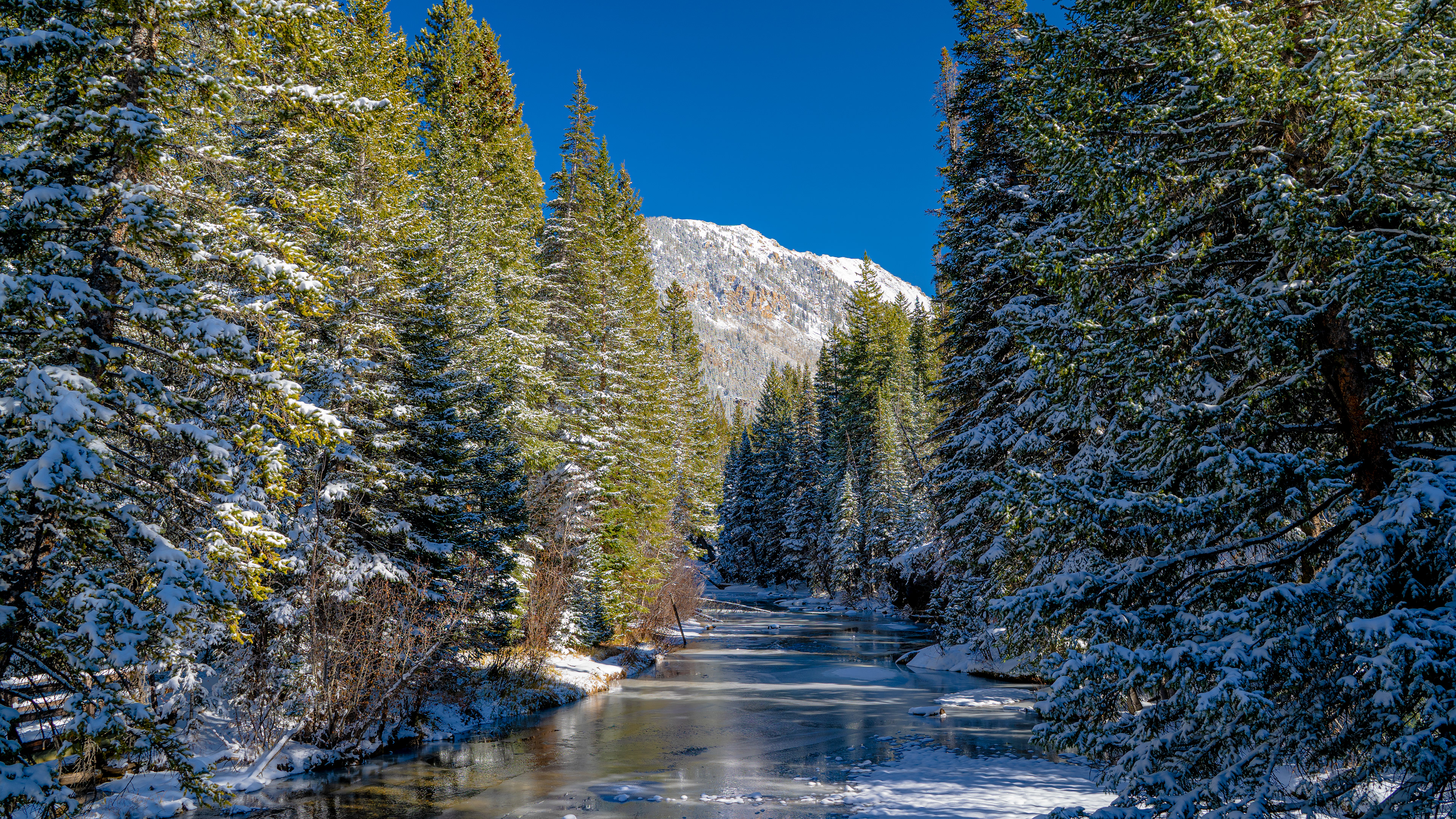 Colorado