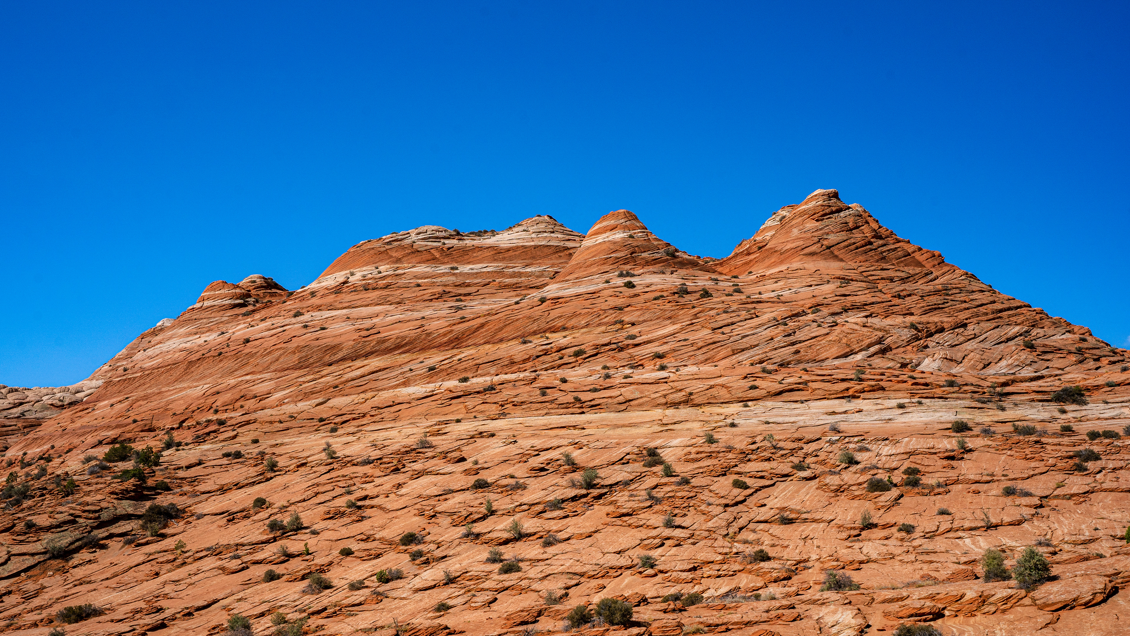 Arizona