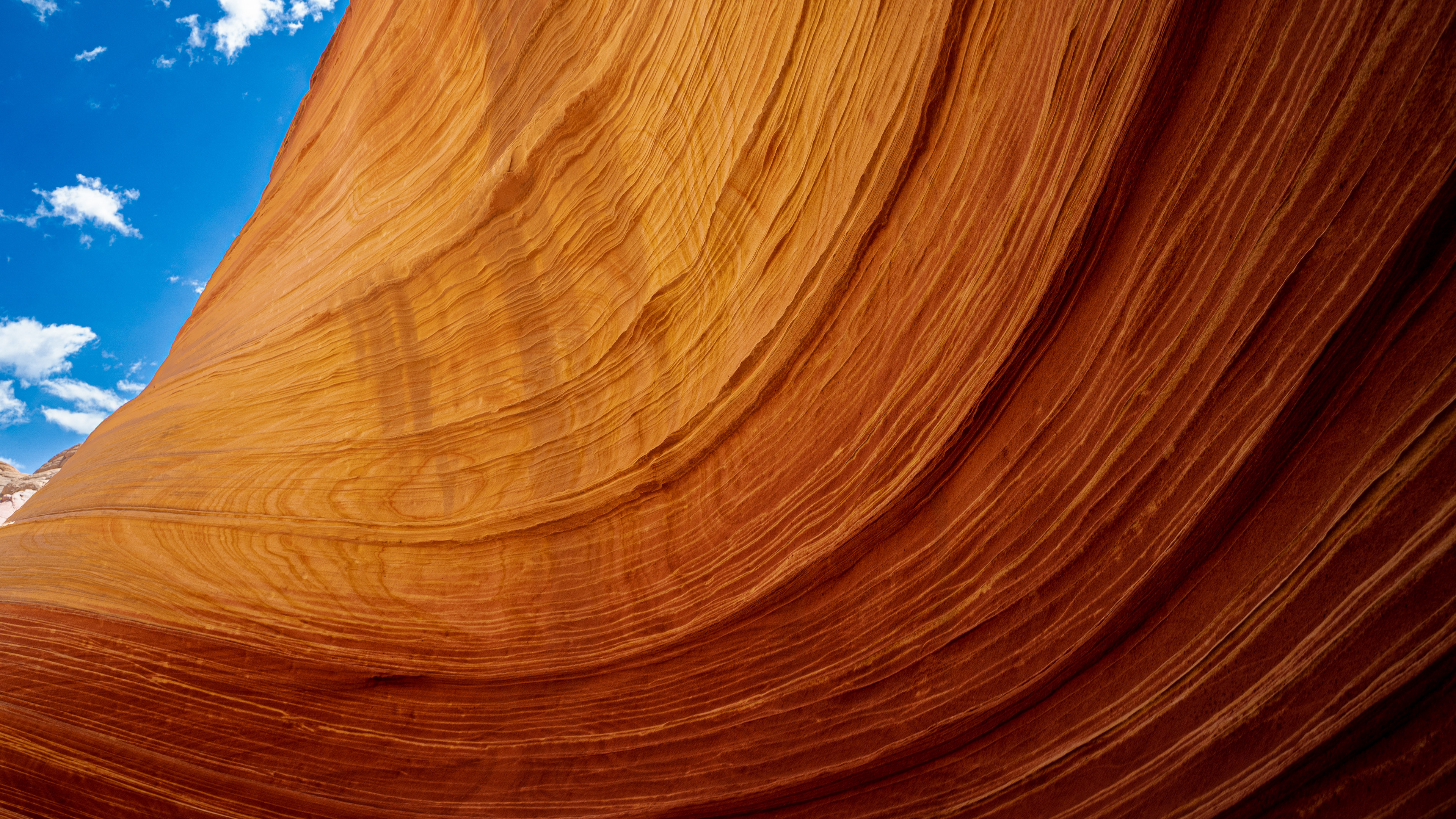The Wave - Arizona