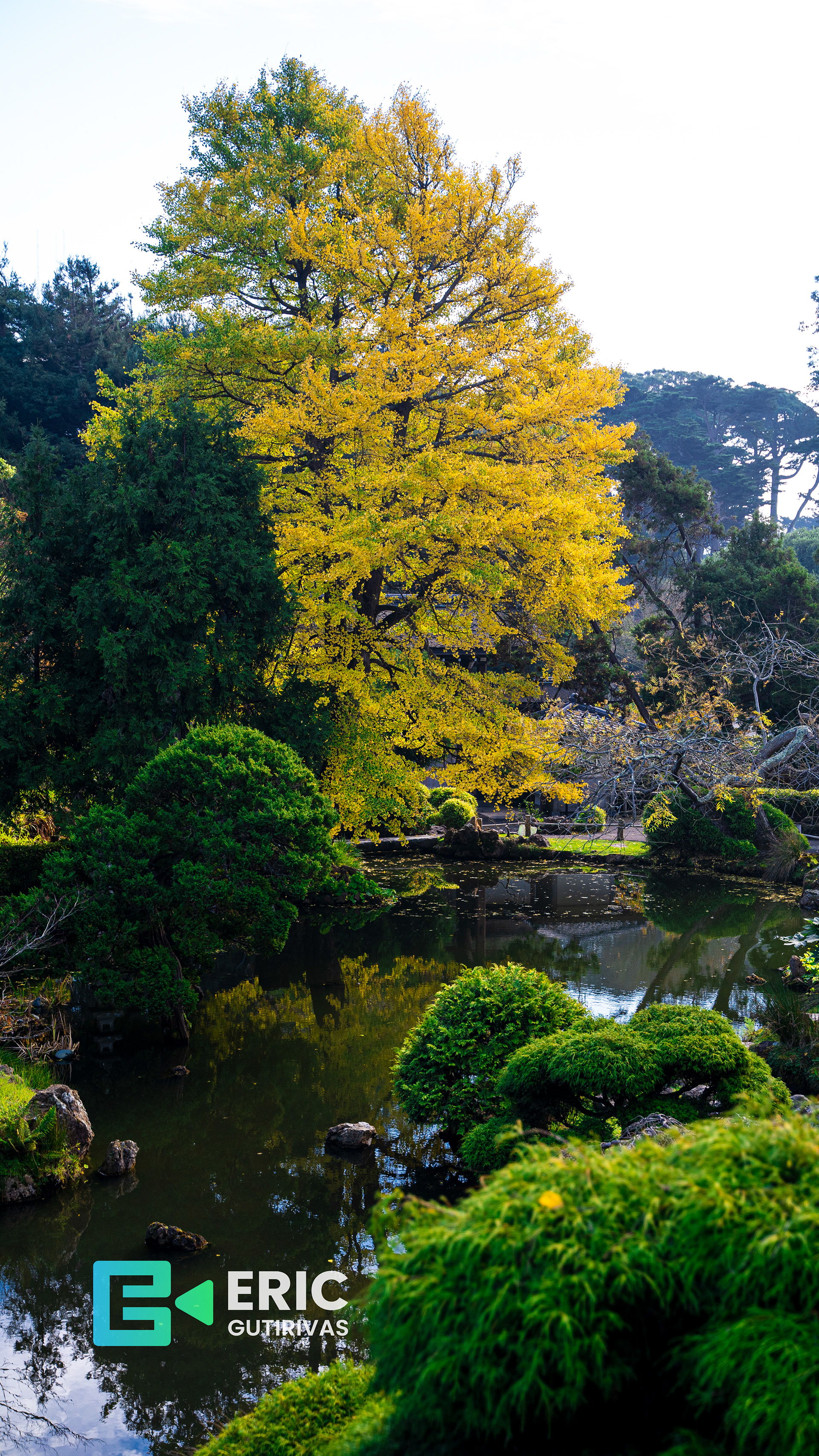 Chines Garden - California