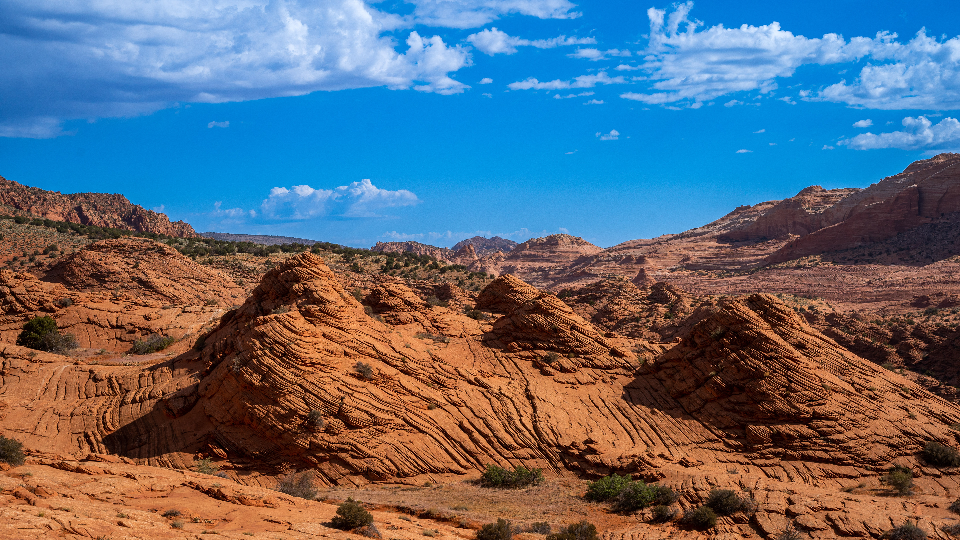 Arizona