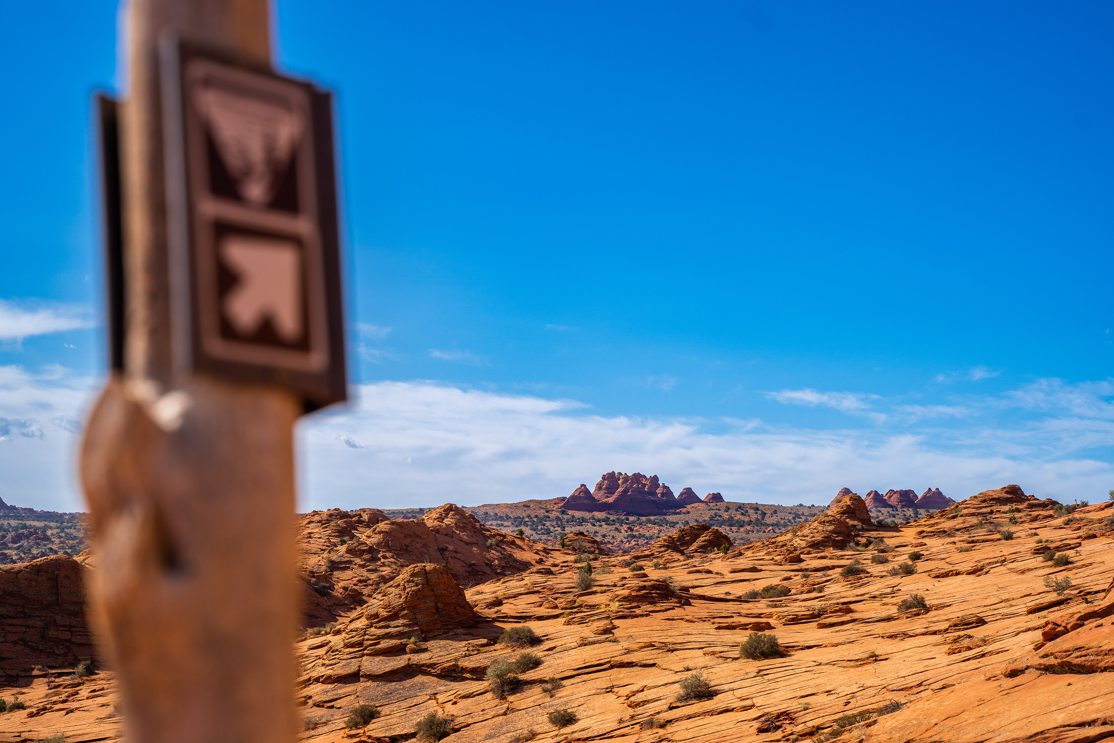 Arizona