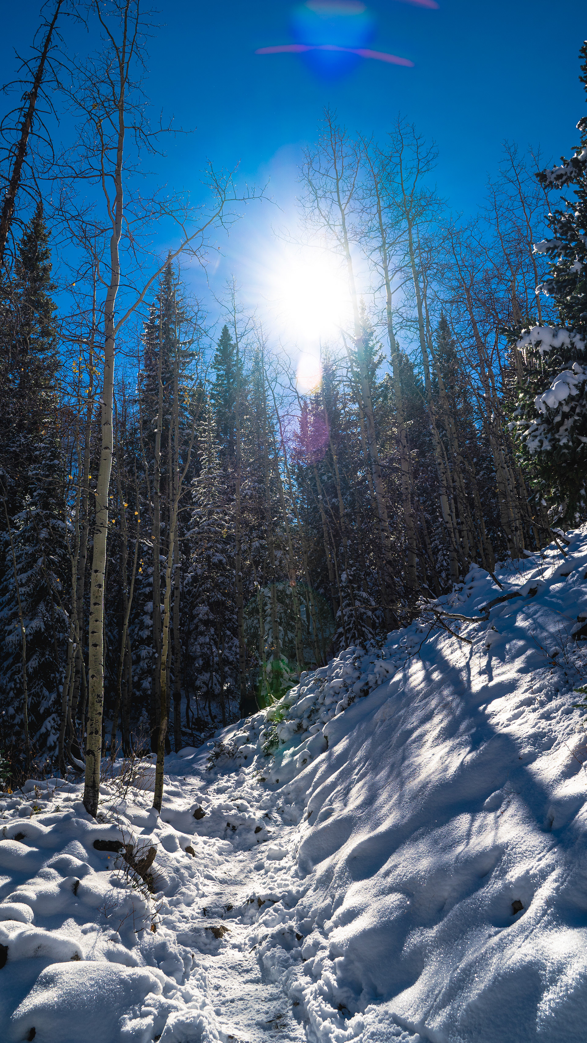 Colorado