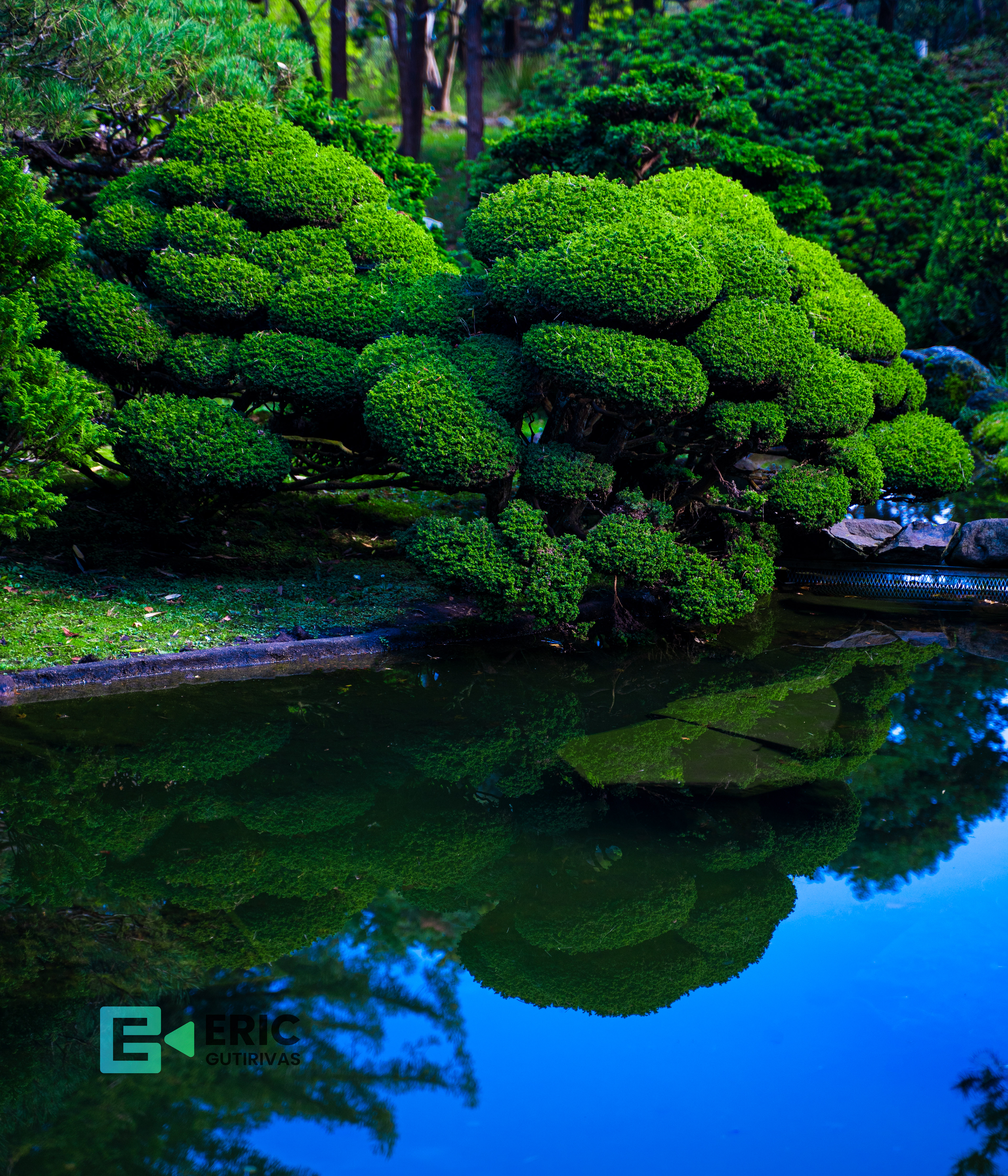 Chines Garden - California